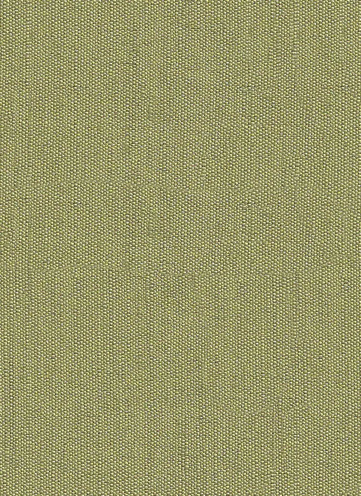 Hallmark Drapes Edition 8 - Rivoli | Multipurpose Fabric Rivoli-Olive