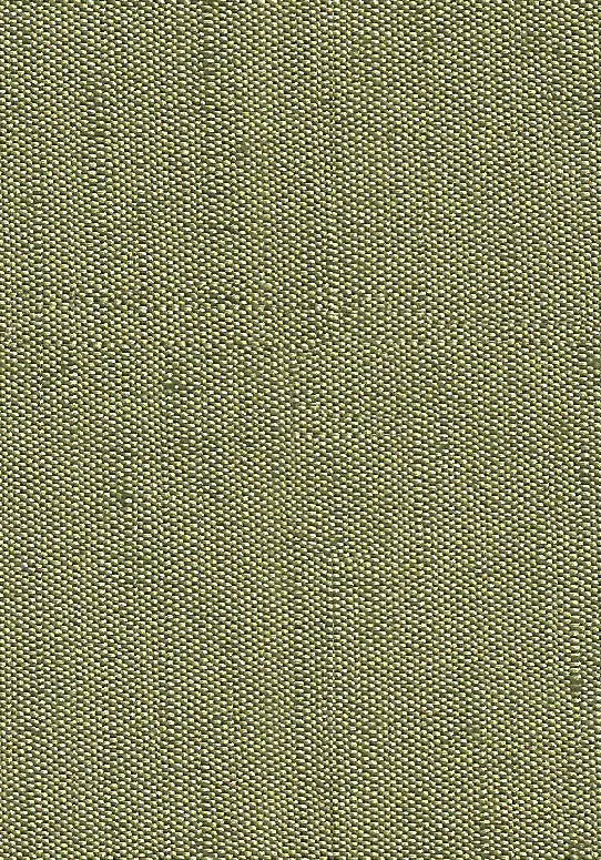 Hallmark Drapes Edition 8 - Rivoli | Multipurpose Fabric Rivoli-Moss