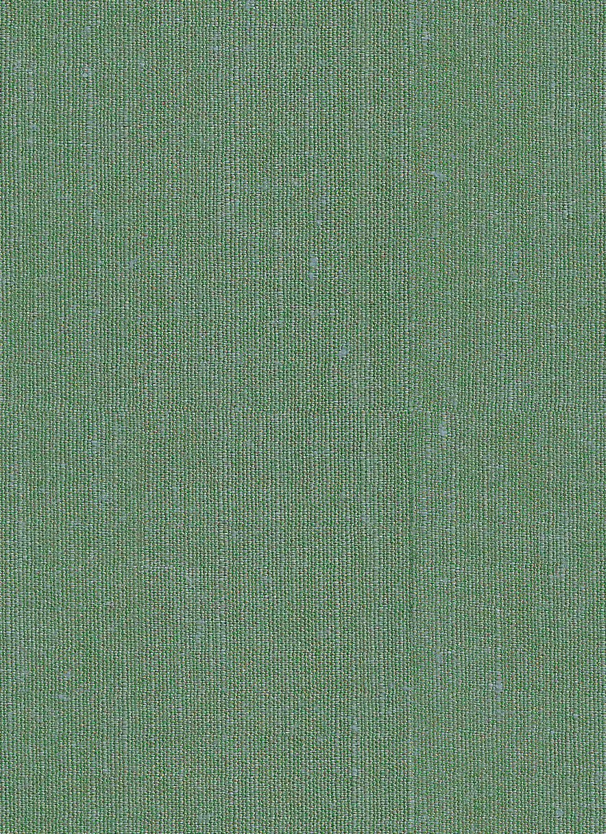 Hallmark Drapes Edition 8 - Rivoli | Multipurpose Fabric Rivoli-Fern