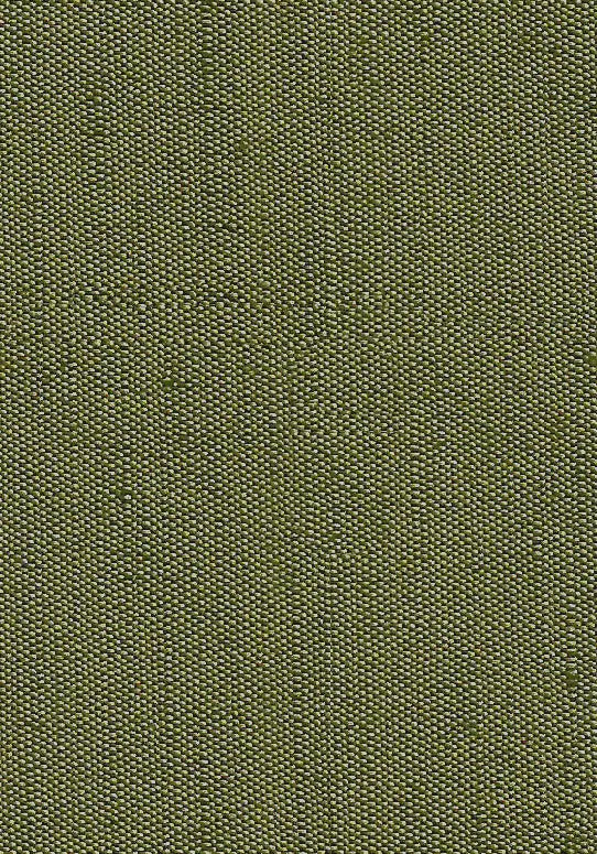 Hallmark Drapes Edition 8 - Rivoli | Multipurpose Fabric Rivoli-Seaweed