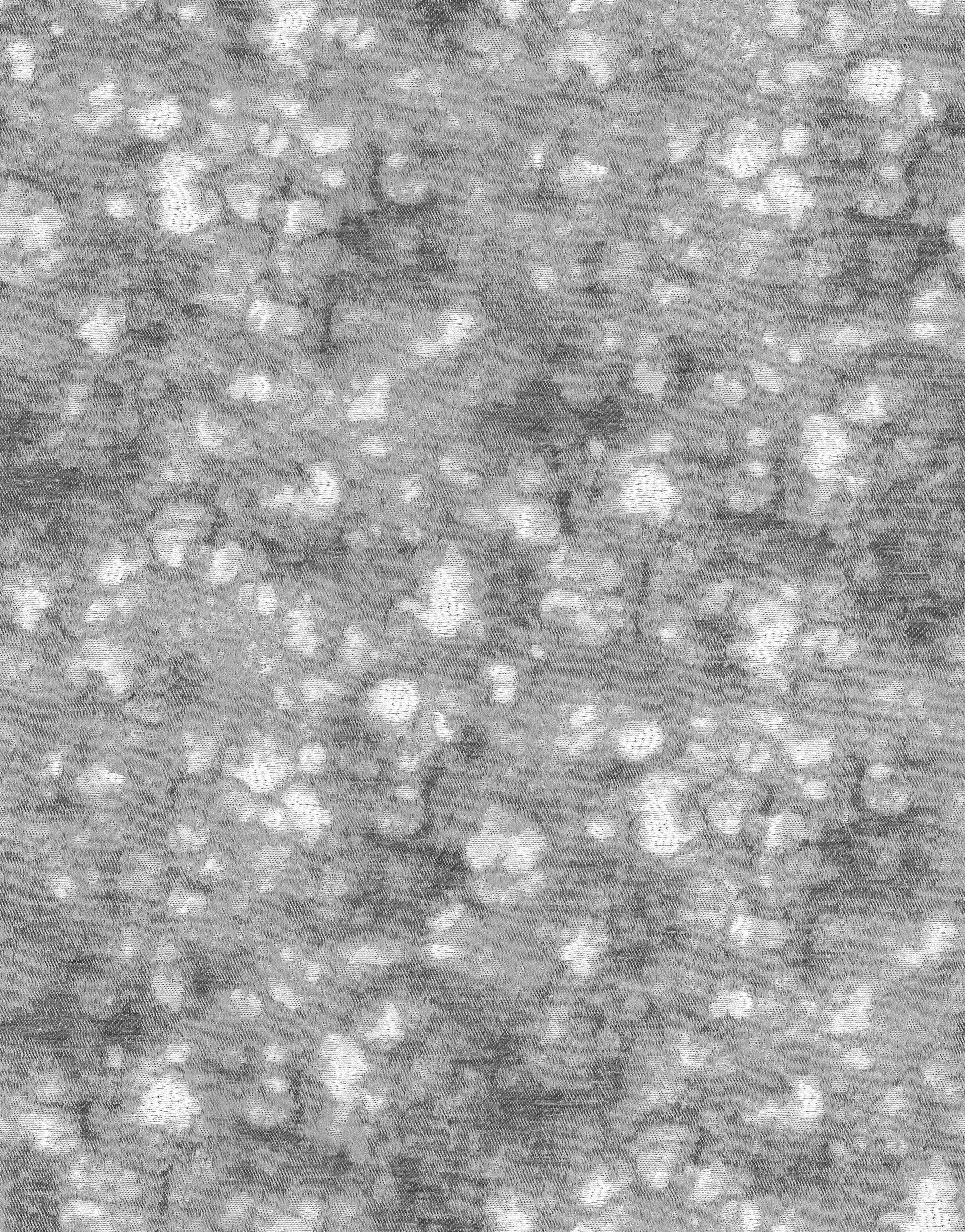 Cosmic Charm Edition 4 - Astro | Made to Order Light Filtering Curtains Astro-Silver