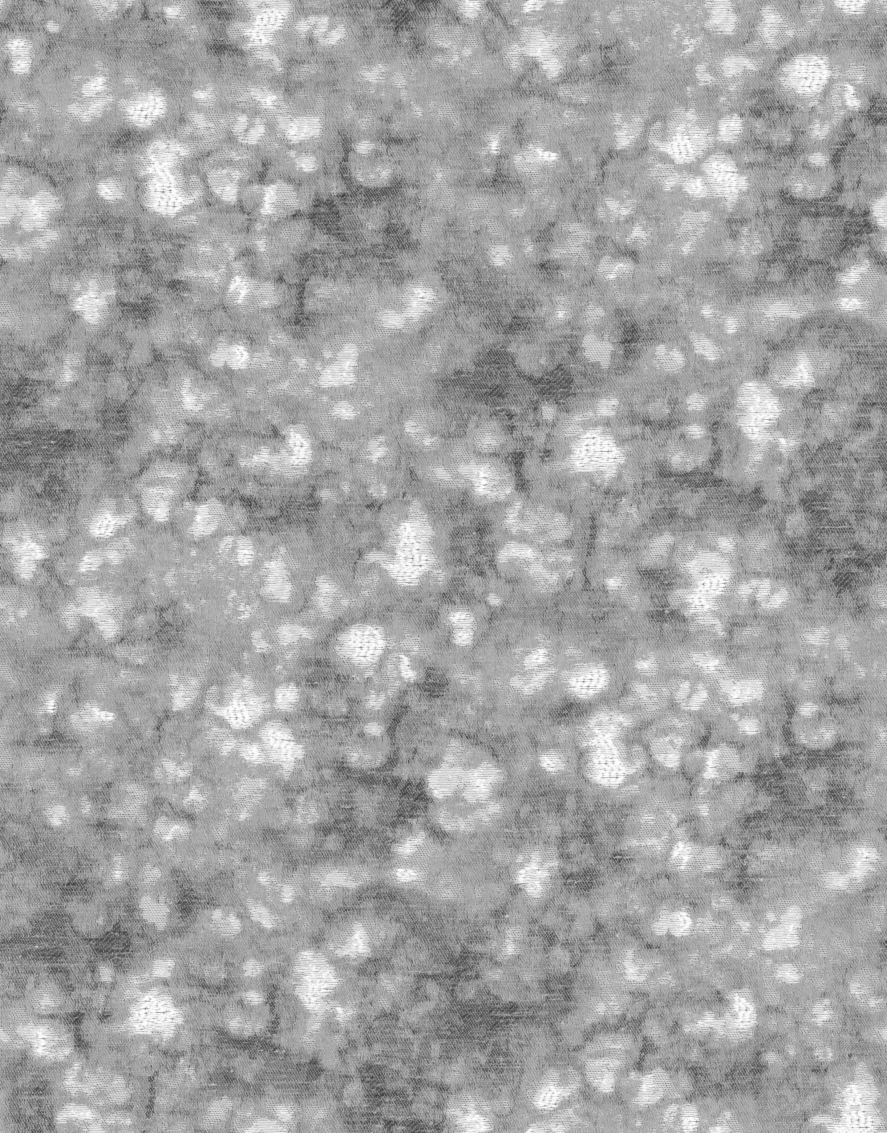 Cosmic Charm Edition 4 - Astro | Made to Order Light Filtering Curtains Astro-Silver