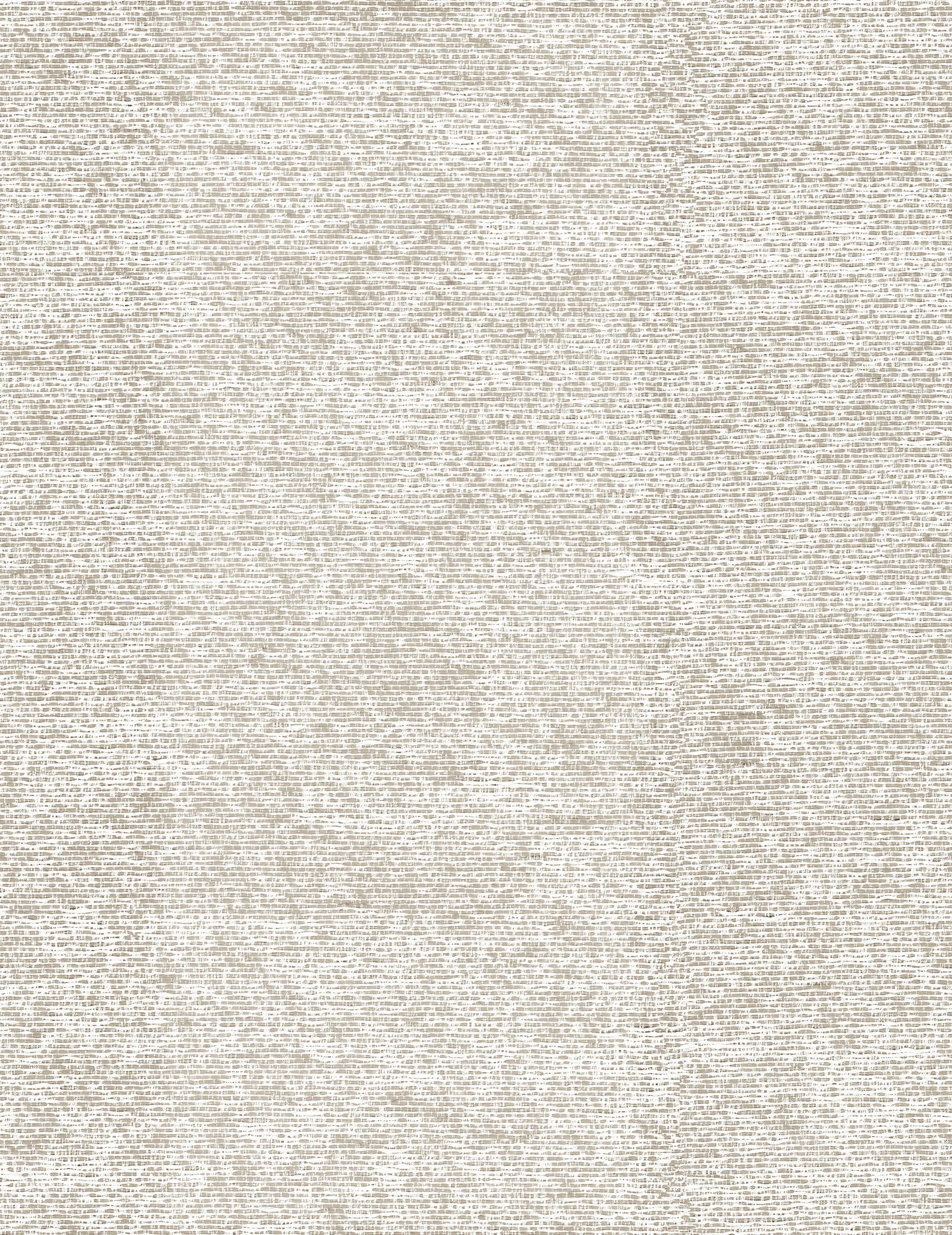 Cosmic Charm Edition 4 - Canis | Made to Order Light Filtering Curtains Canis-Opal