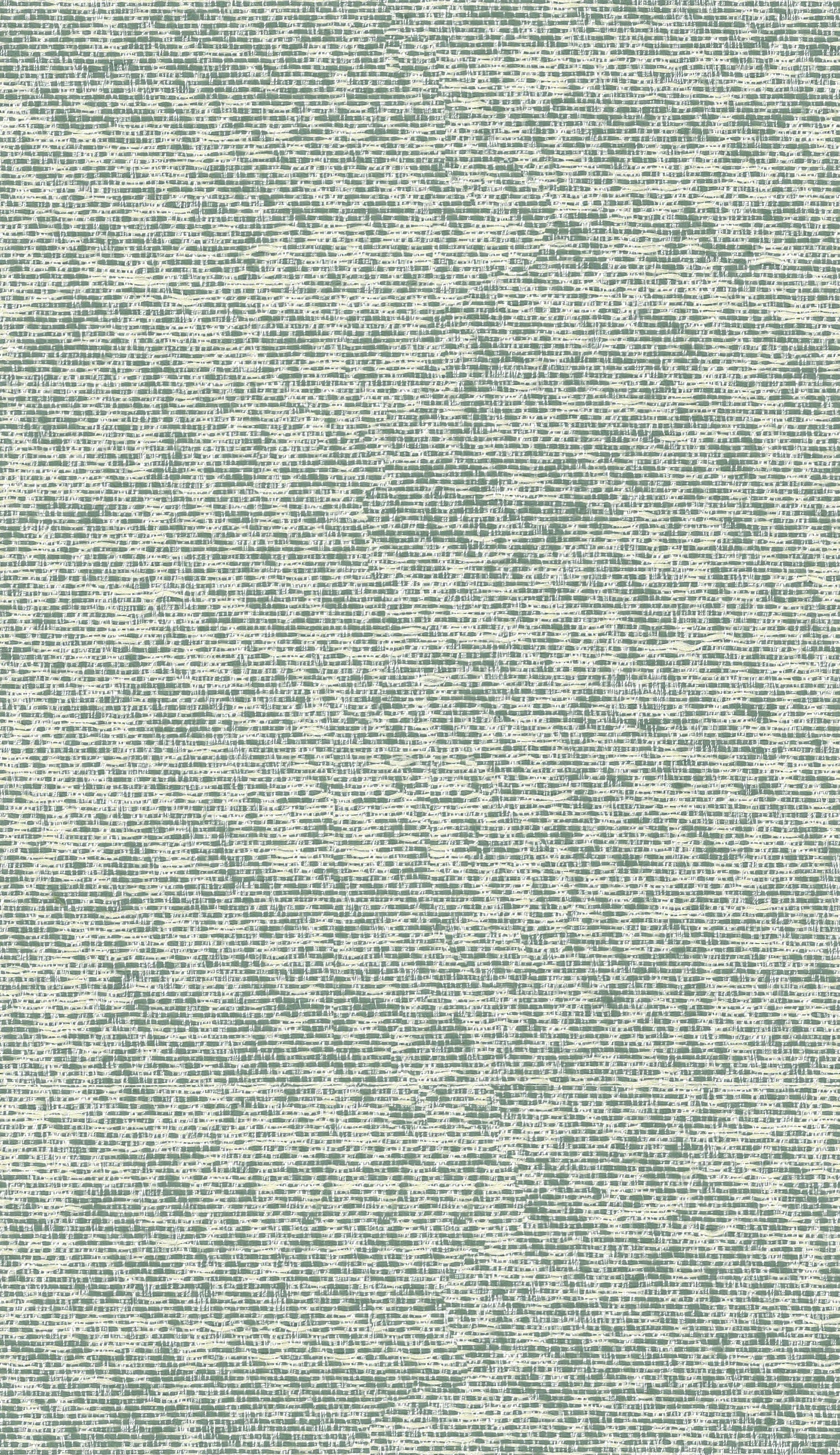 Cosmic Charm Edition 4 - Canis | Made to Order Light Filtering Curtains Canis-Jade