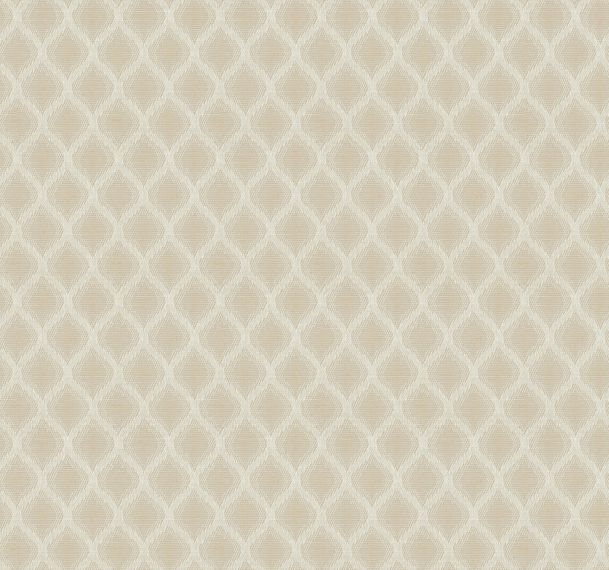 Elementos Edition 10 - Plexus | Made to Order Light Filtering Curtains Plexus-Biscotti