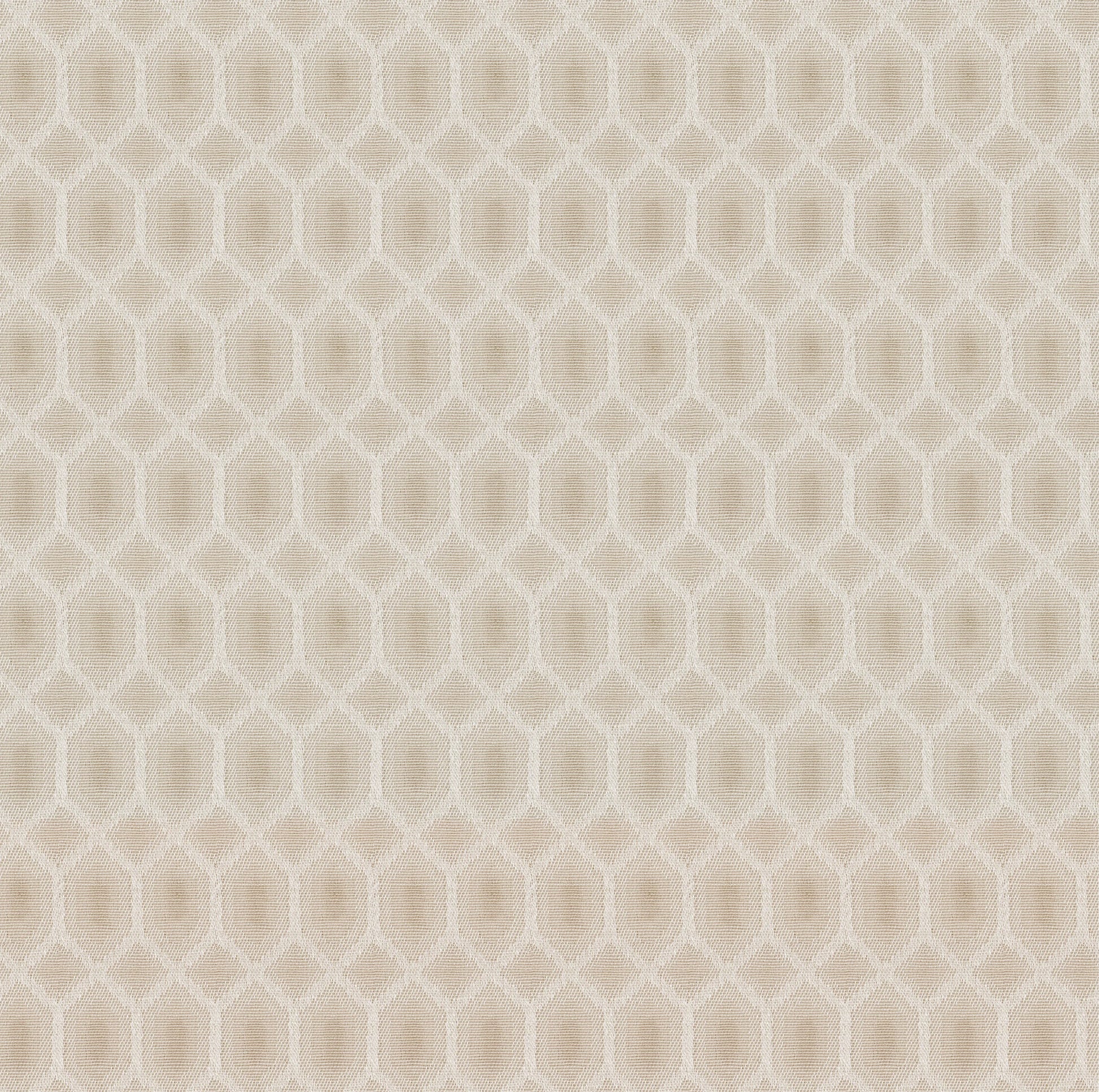 Elementos Edition 10 - Tela | Made to Order Light Filtering Curtains Tela-Biscotti