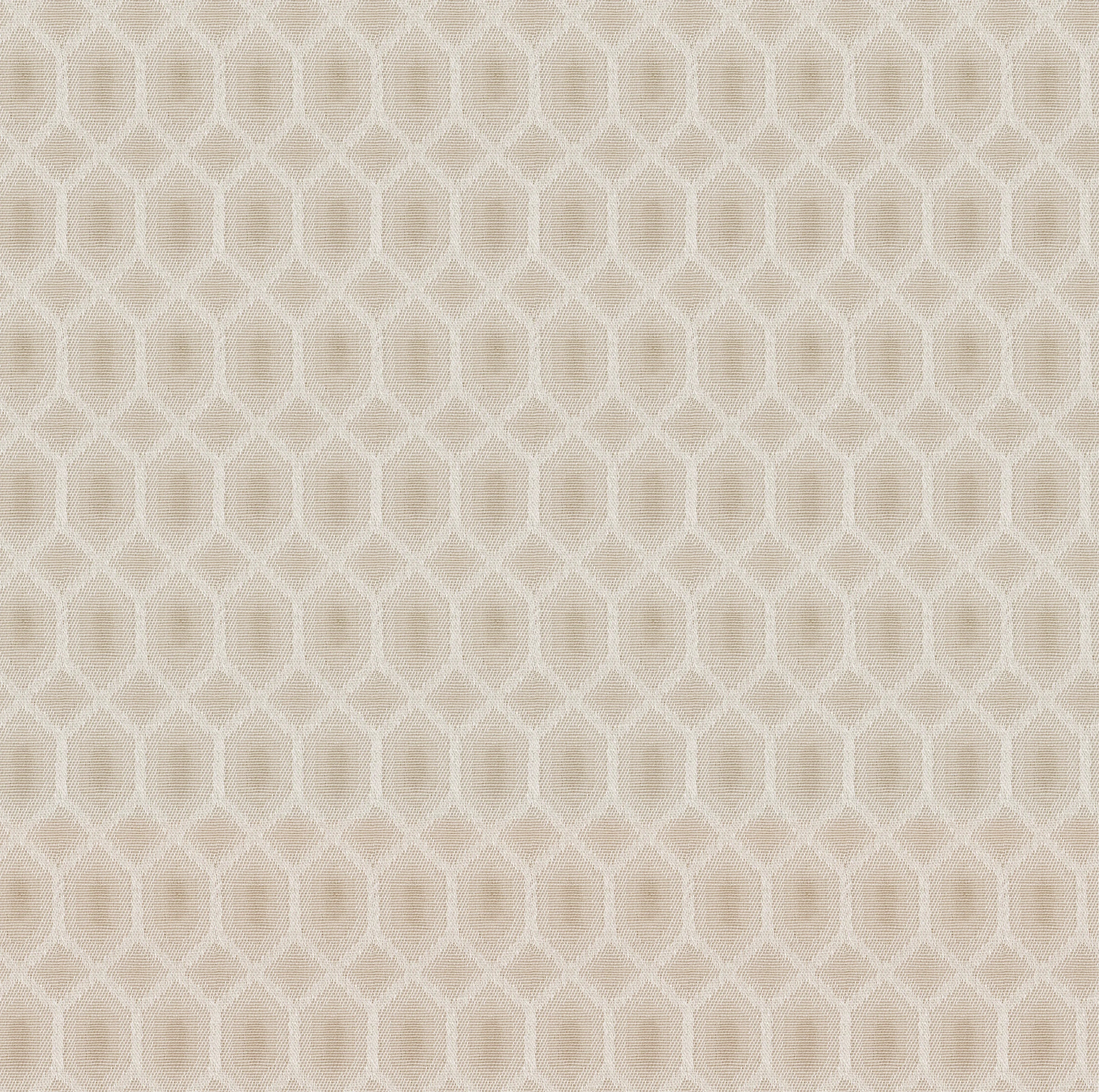 Elementos Edition 10 - Tela | Made to Order Light Filtering Curtains Tela-Biscotti