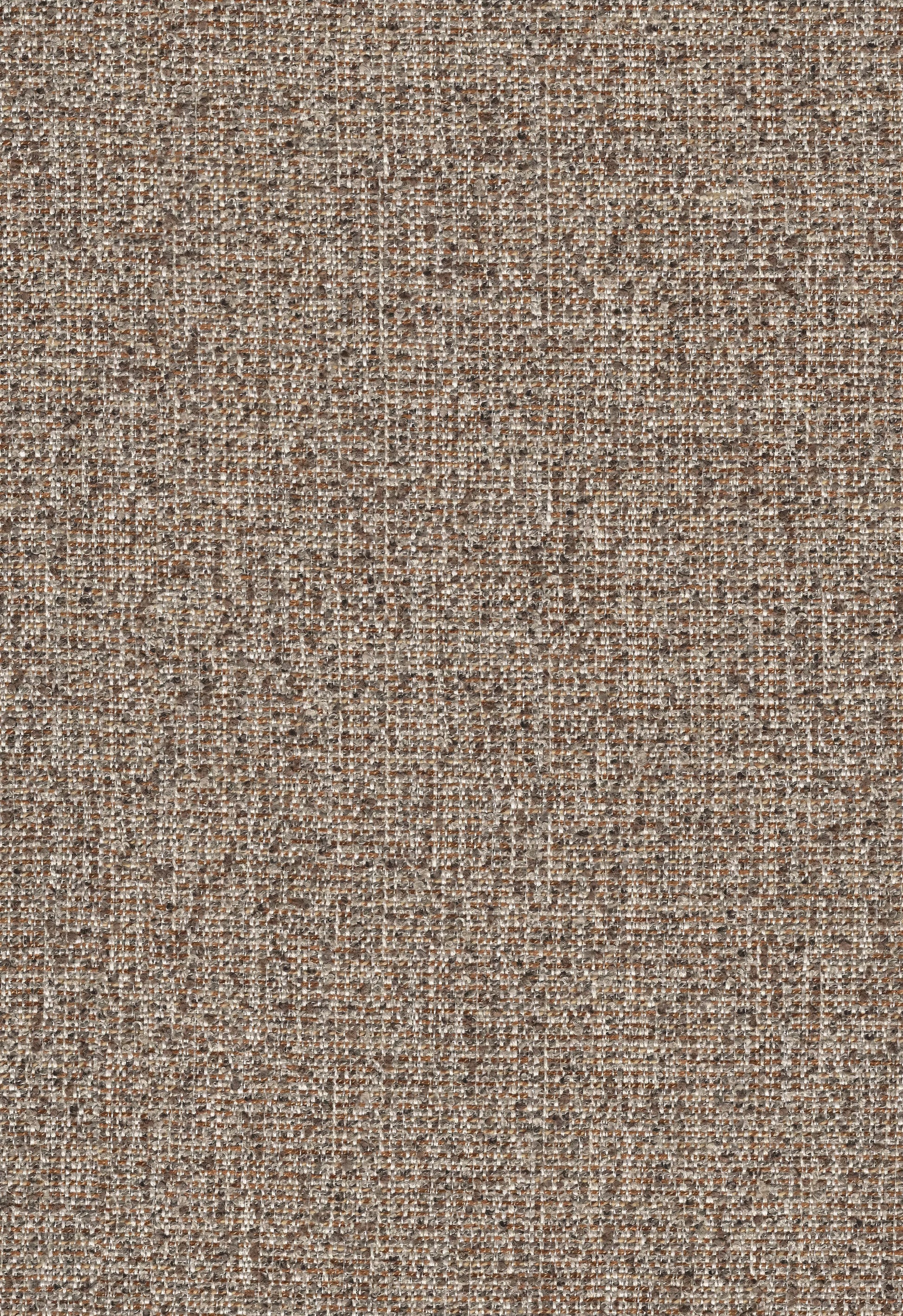 Nomad's Diary Edition 10 - Alpine | Upholstery Fabric Alpine-Umber
