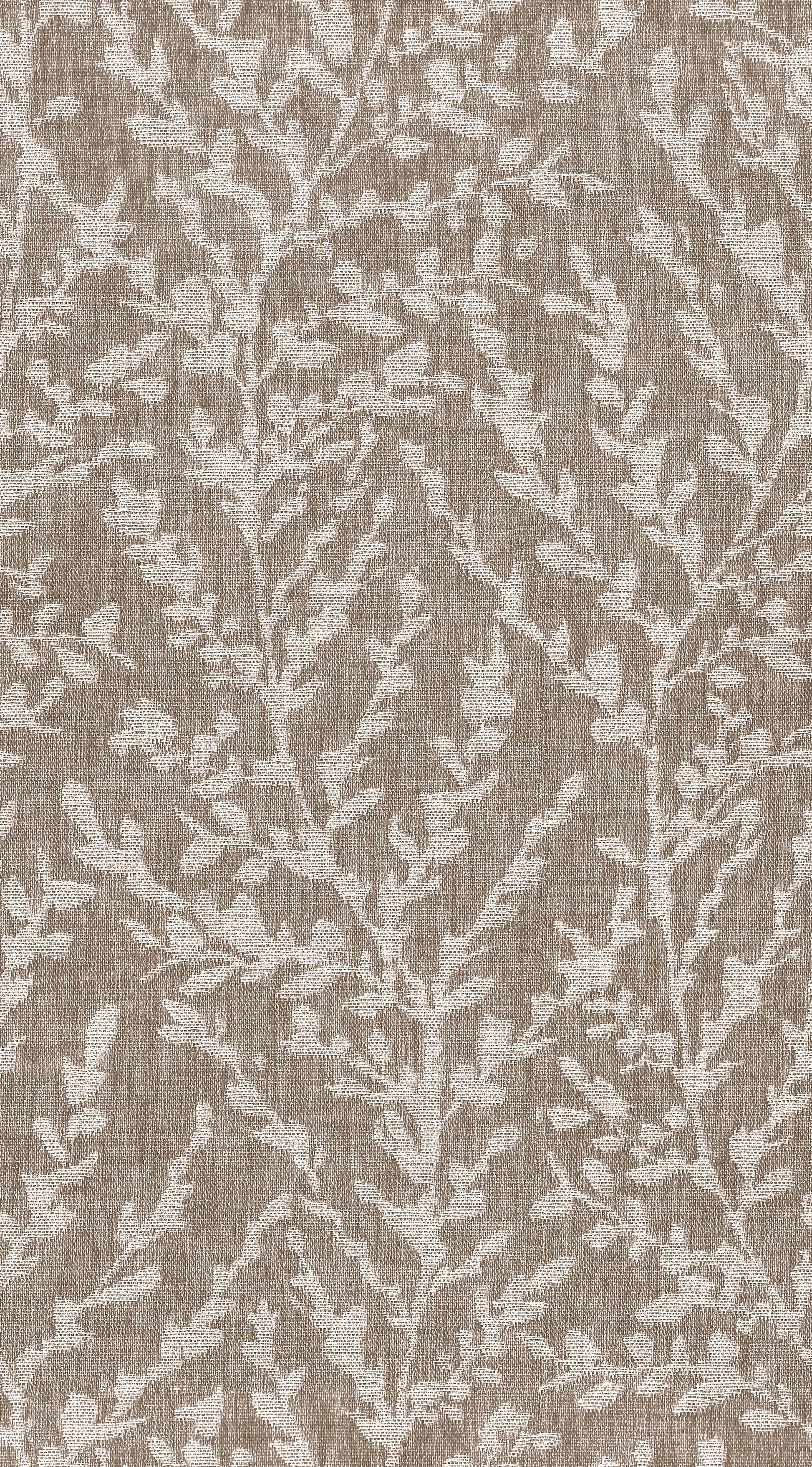 Earthen Tales Edition 3 - Barney | Made to Order Light Filtering Curtains Barney-Biscuit