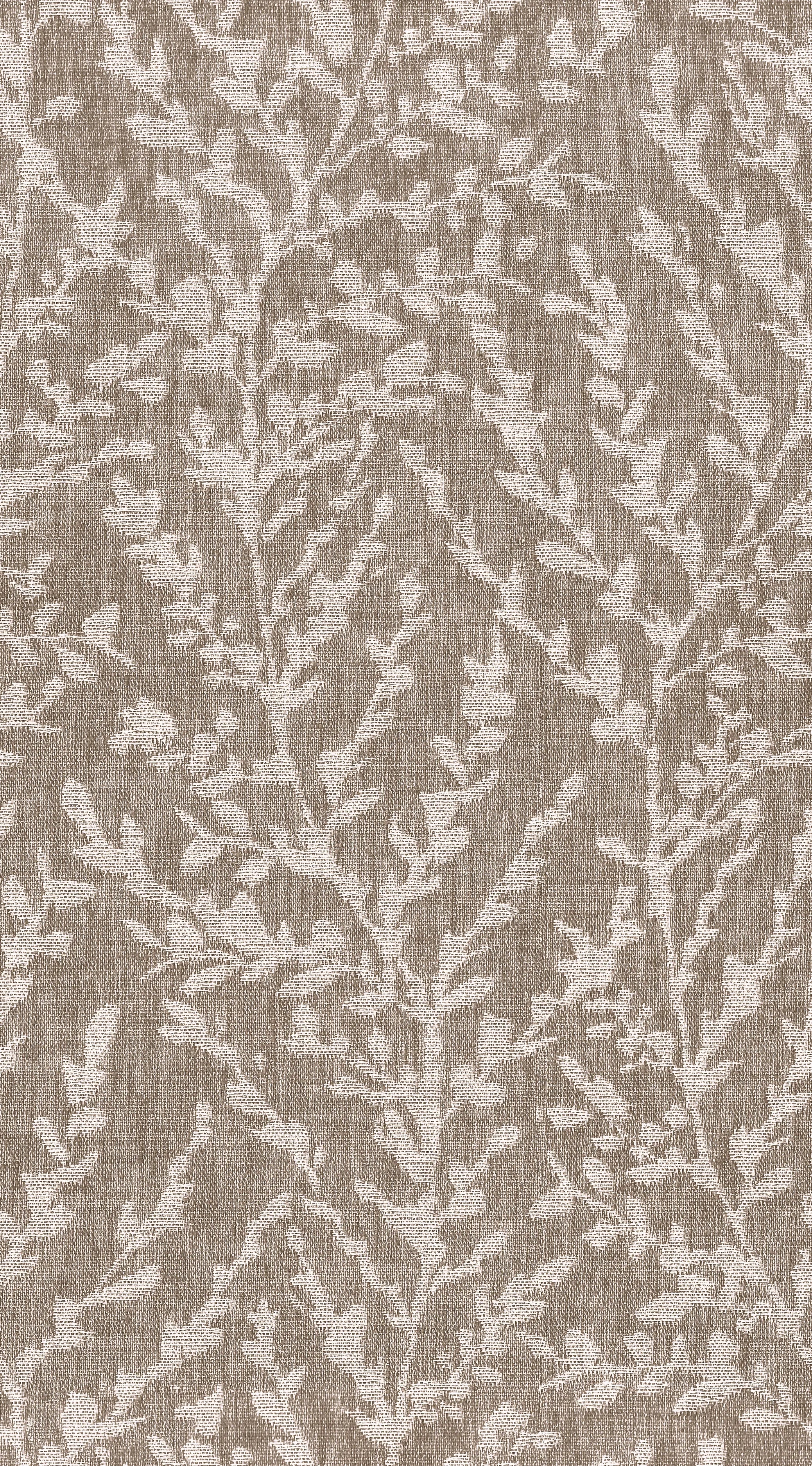 Earthen Tales Edition 3 - Barney | Made to Order Light Filtering Curtains Barney-Biscuit