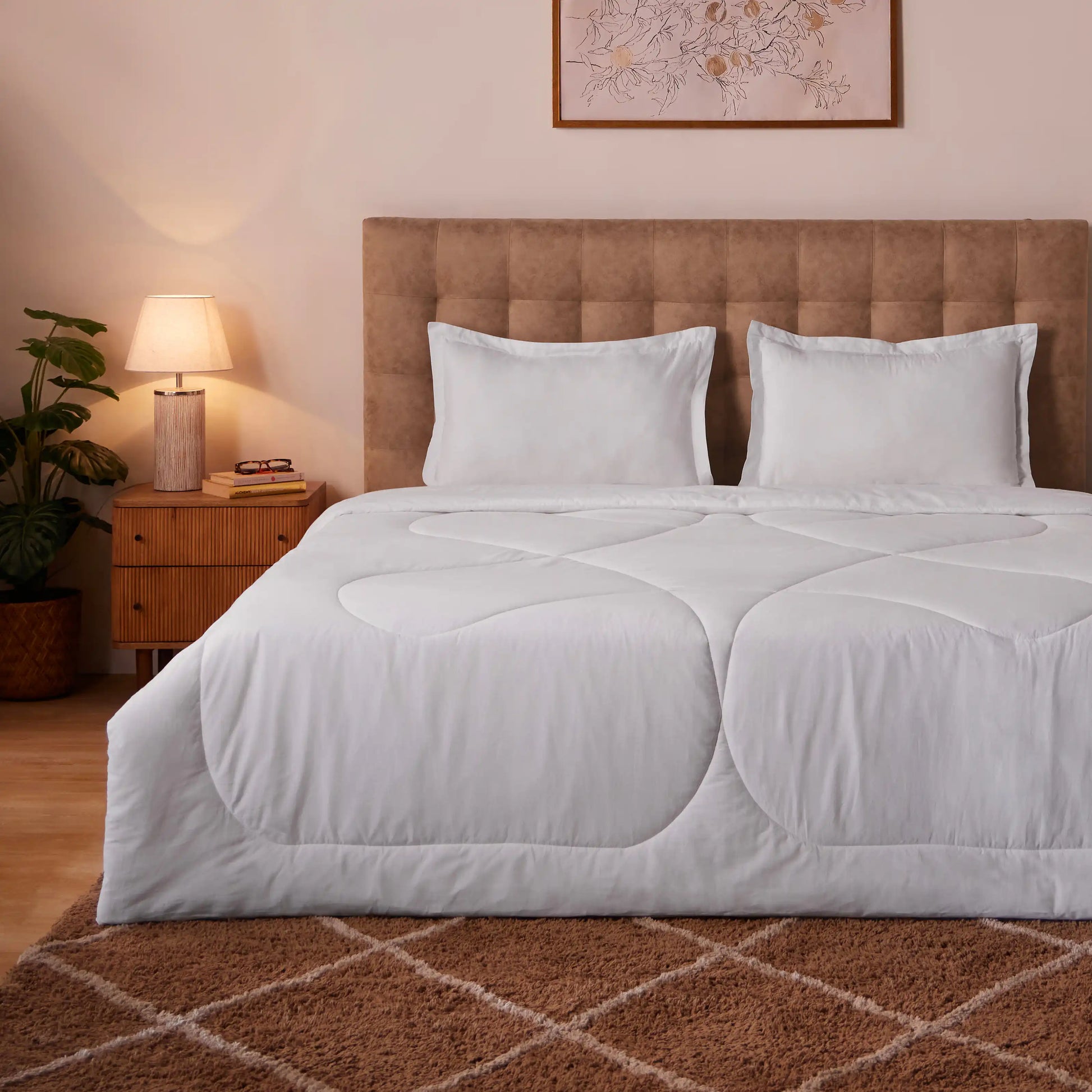 Paleto | Everyday Hues Cotton Solid Dyed 120GSM Comforter-White White / Double