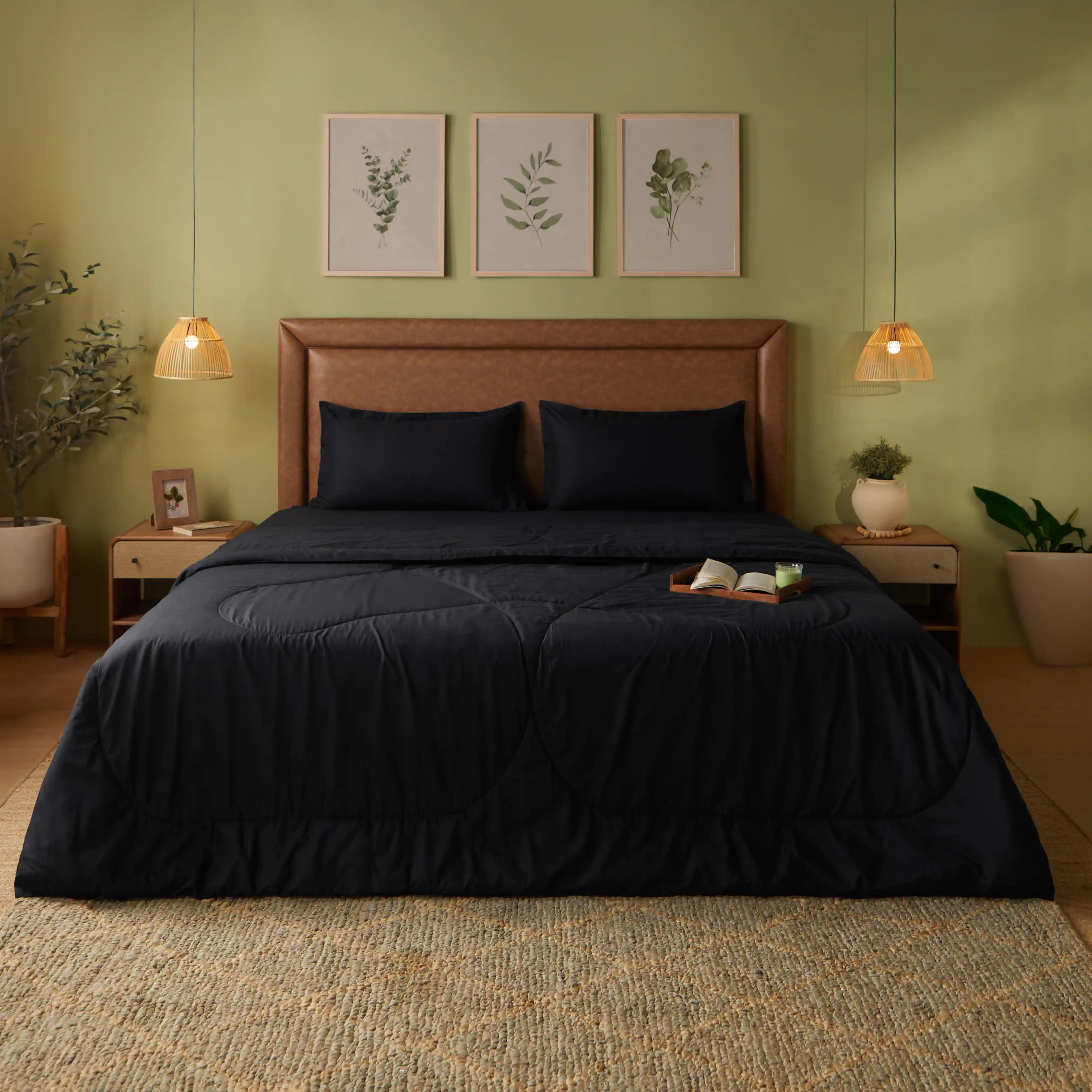 Paleto | Everyday Hues Cotton Solid Dyed 120GSM Comforter-Black Black / Double