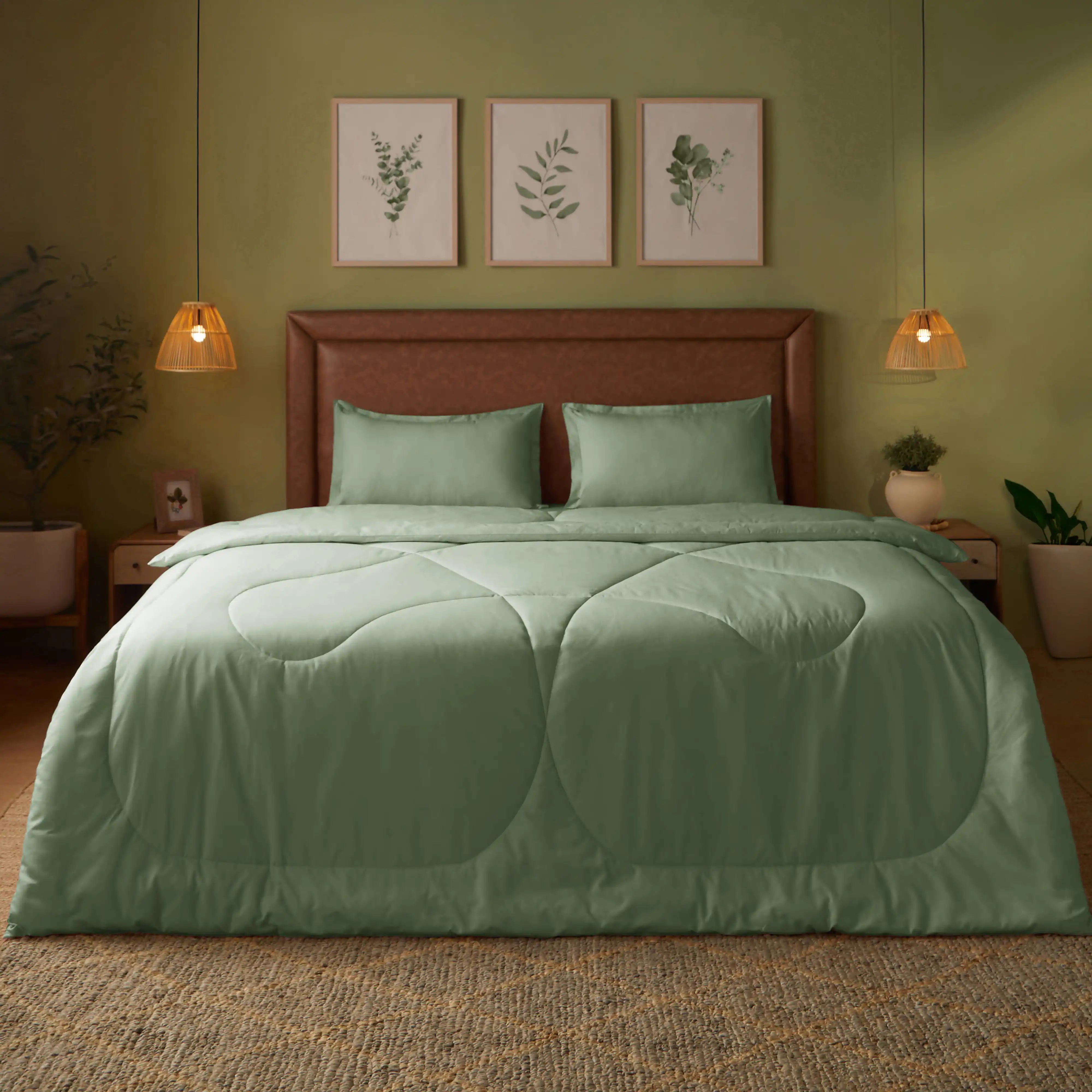 Paleto | Everyday Hues Cotton Solid Dyed 120GSM Comforter-Green Sage Green Sage / Double