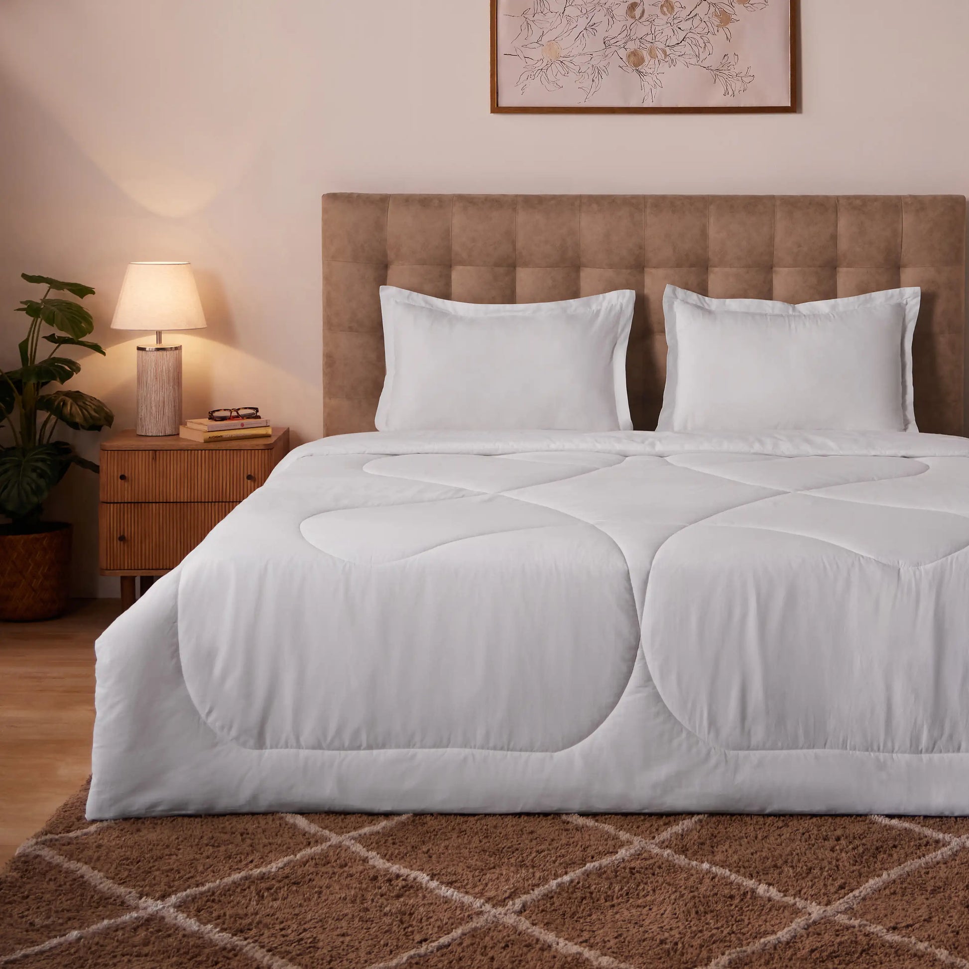 Paleto | Everyday Hues Cotton Solid Dyed 240GSM Comforter for Extra Warmth-White White / Double