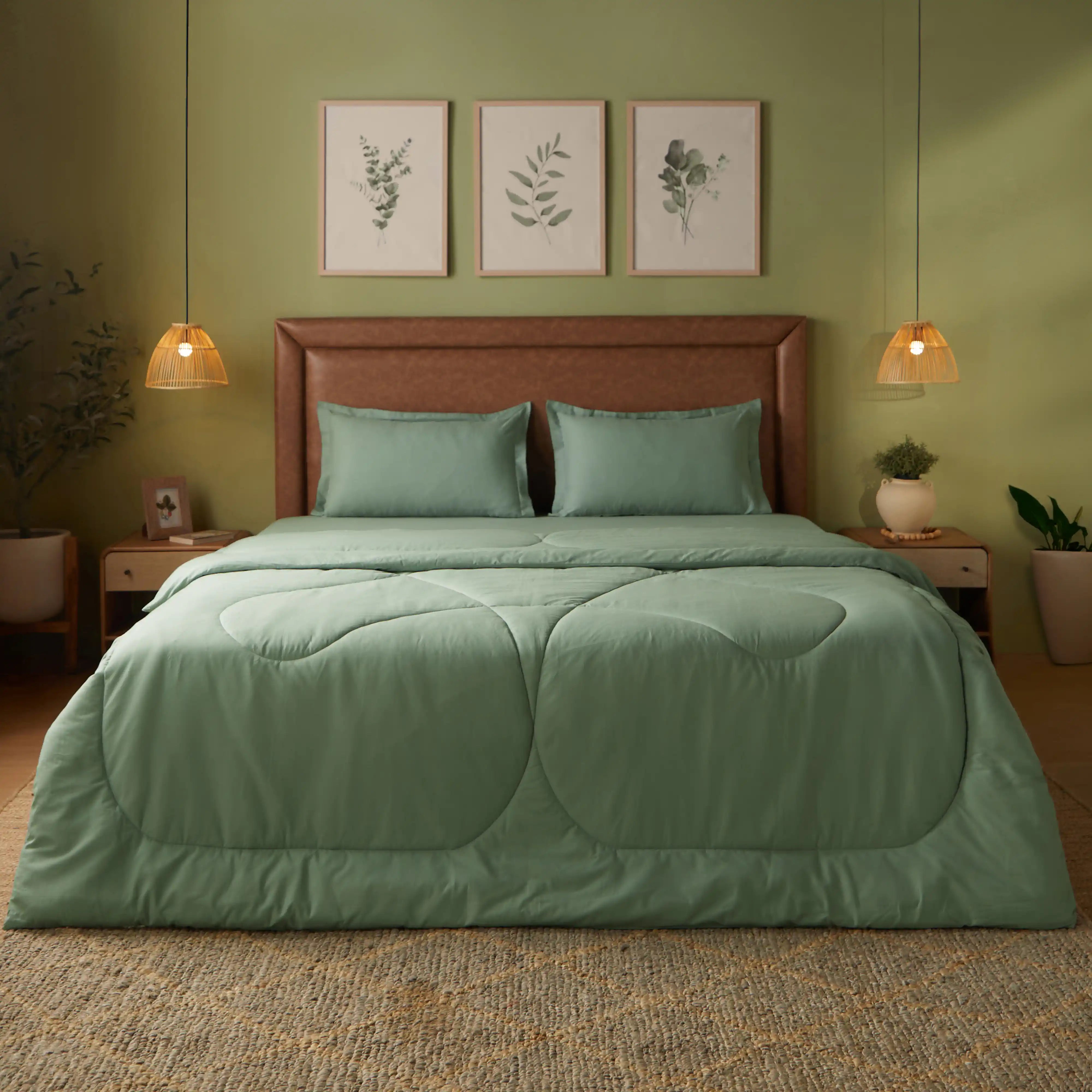 Paleto | Everyday Hues Cotton Solid Dyed 240GSM Comforter for Extra Warmth-Green Sage Green Sage / Double