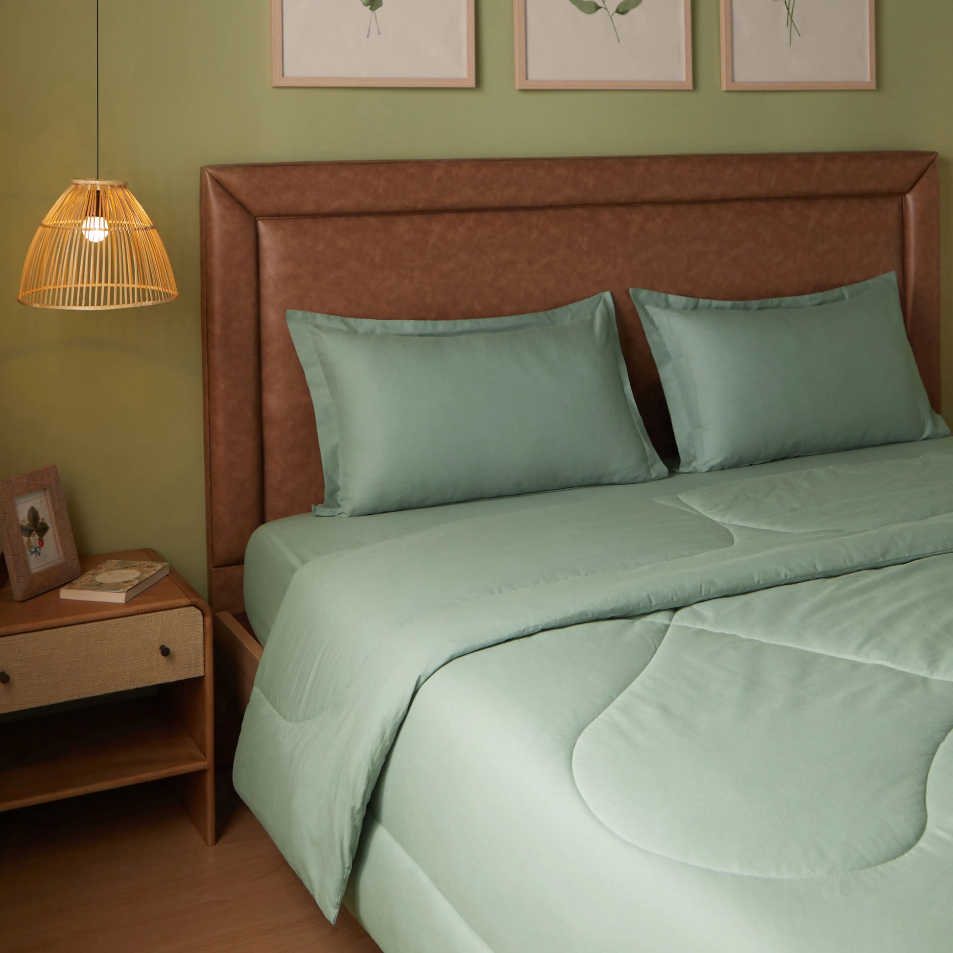 Paleto | Everyday Hues Cotton Solid Dyed 120GSM Comforter-Green Sage Green Sage / Double