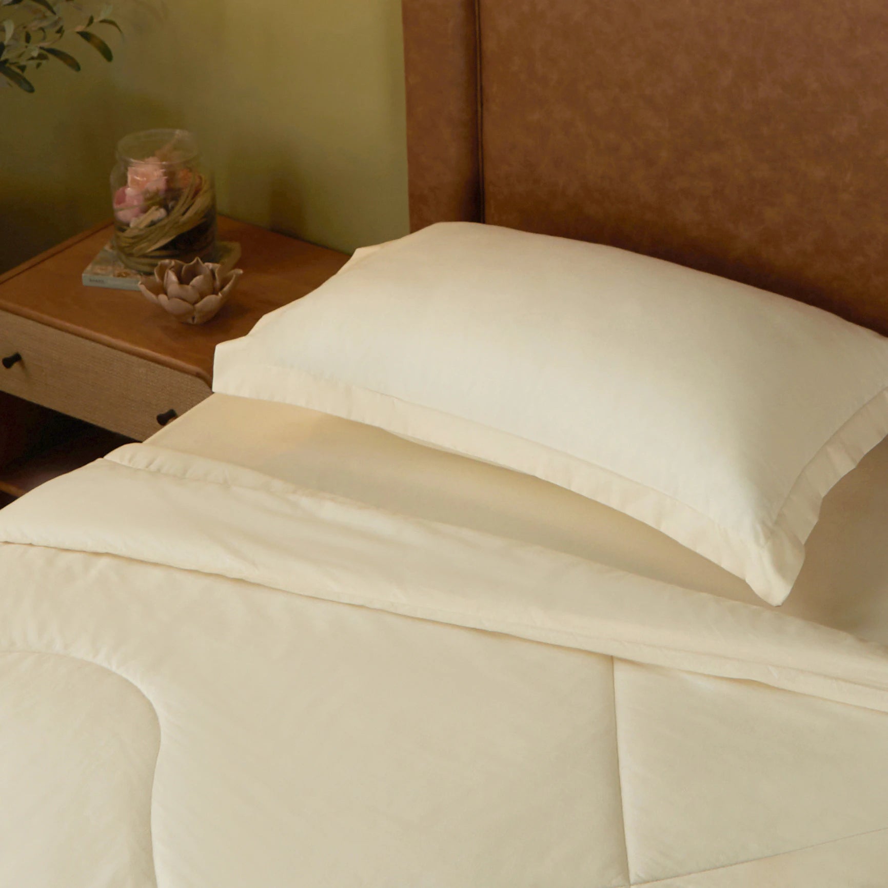 Paleto | Everyday Hues Cotton Solid Dyed 120GSM Comforter-Ivory Ivory / Single