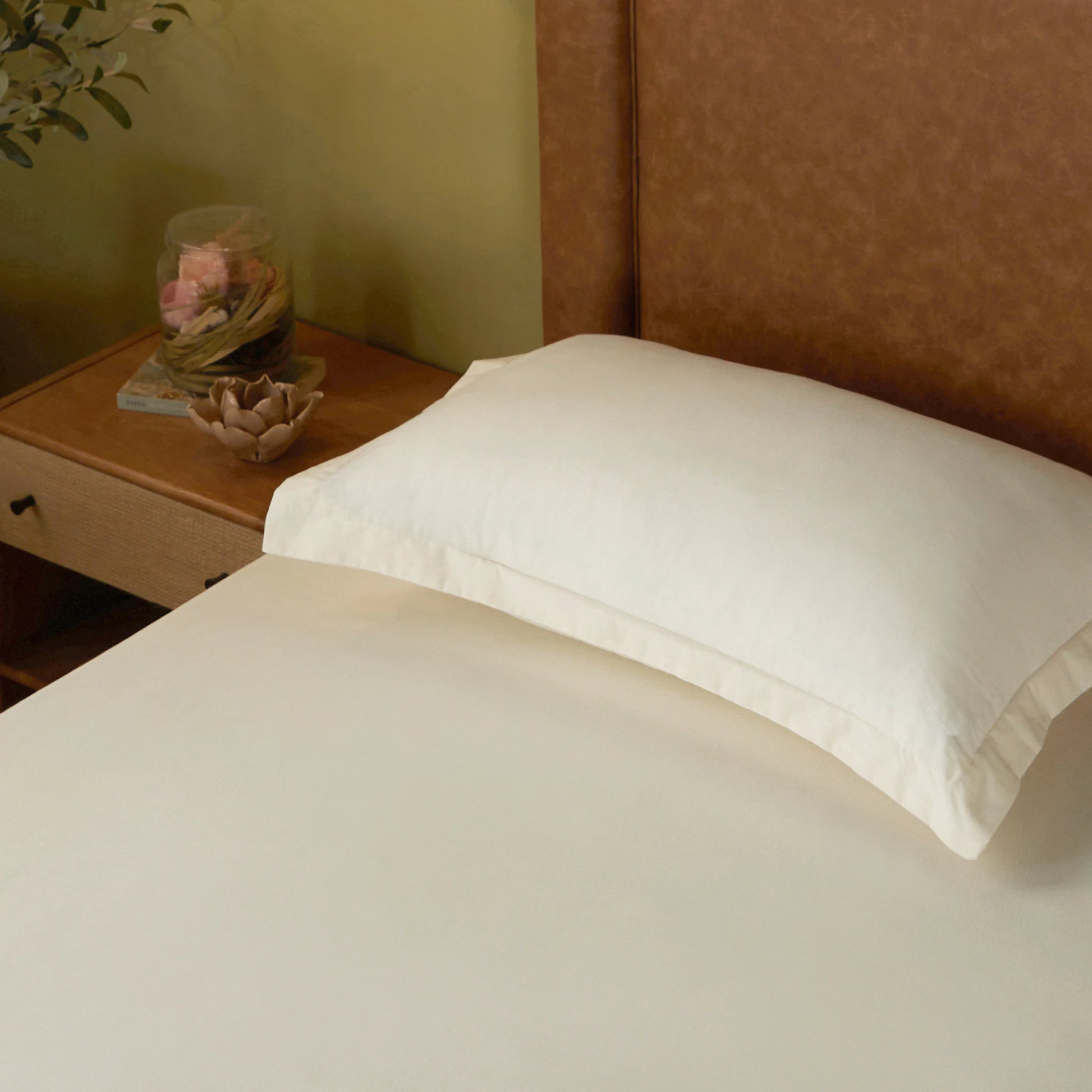 Paleto | Everyday Hues Solid Dyed Cotton Bedsheet Set-Ivory Ivory / Single