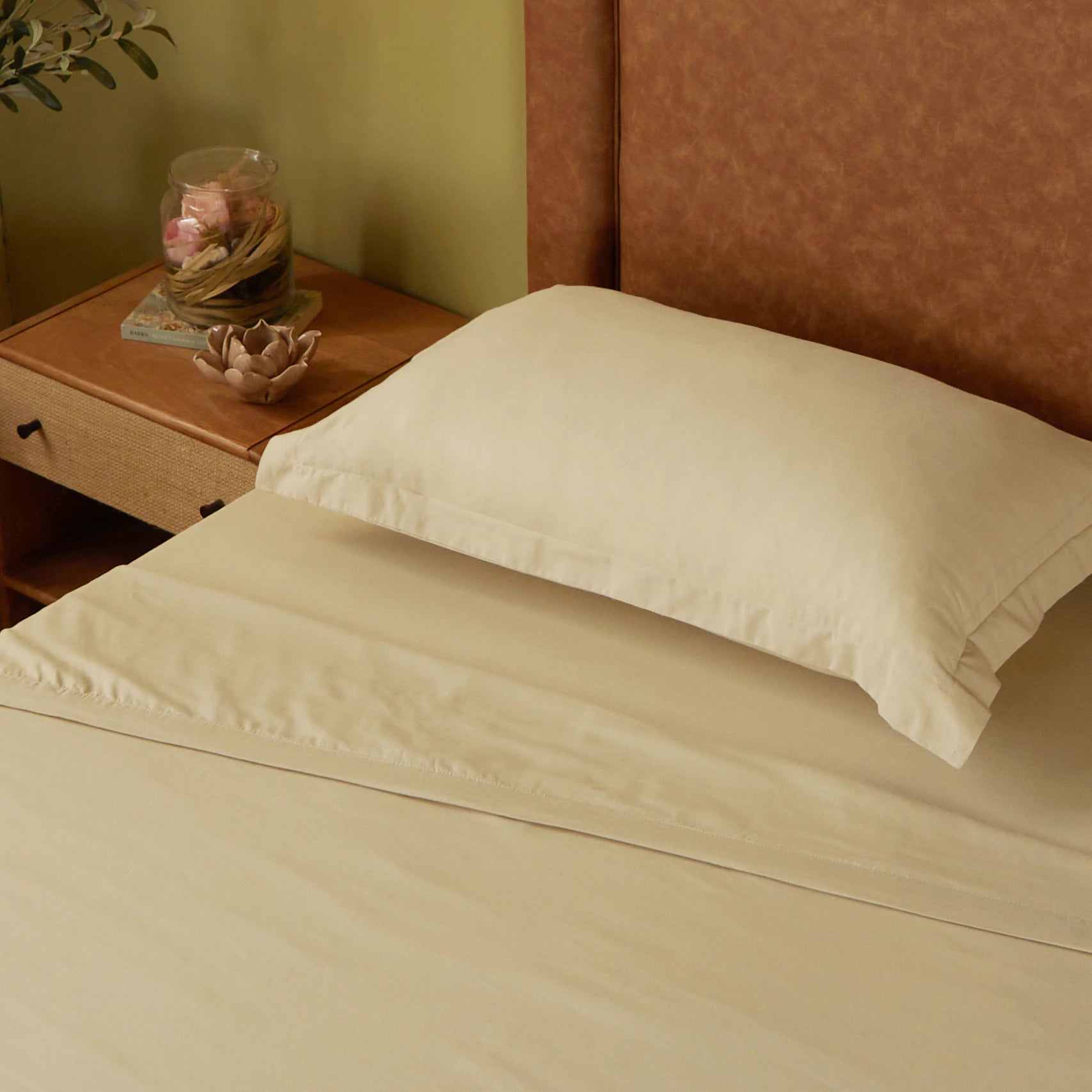 Paleto | Everyday Hues Cotton Solid Dyed Dohar with Super Soft Flannel Layering-Beige Beige / Single