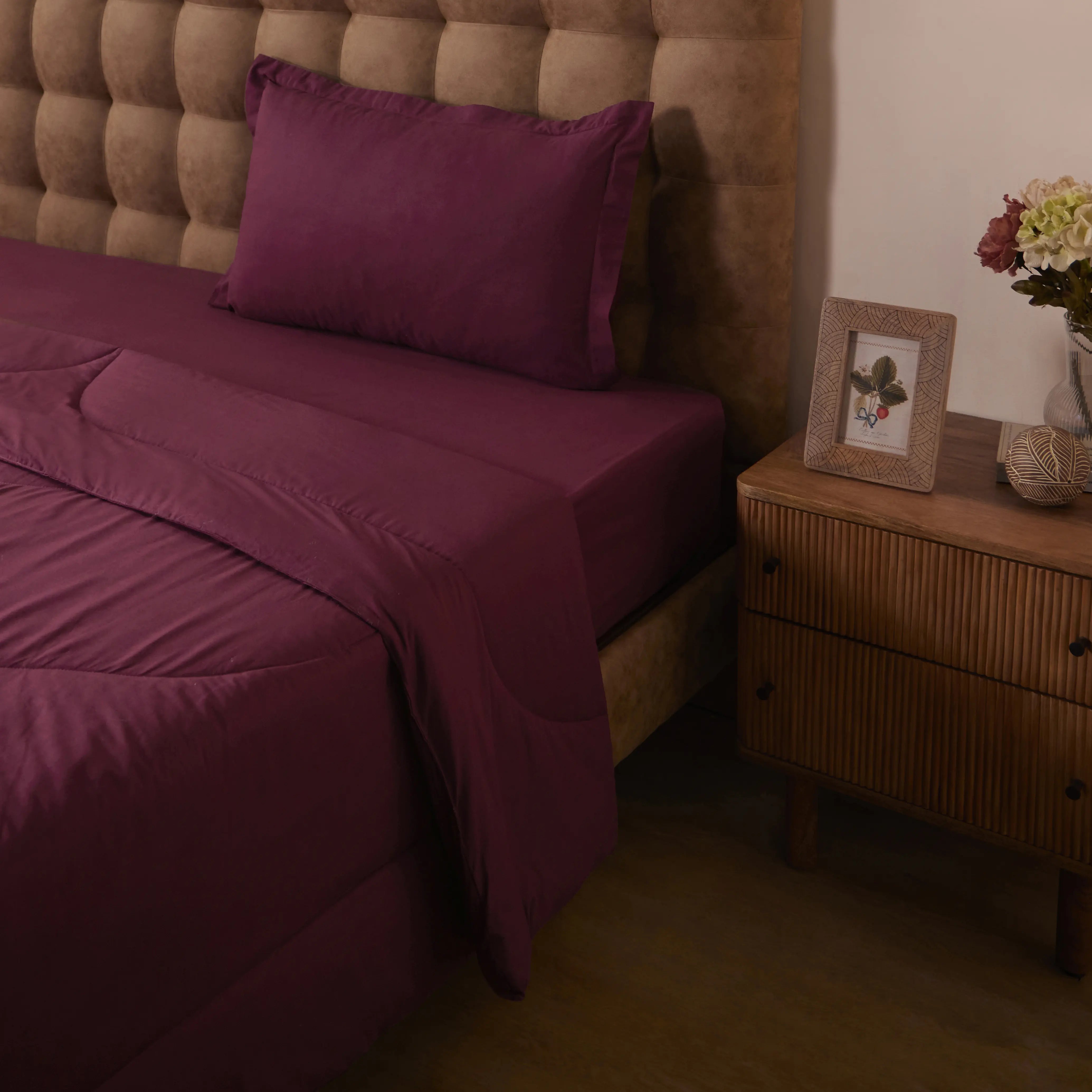 Paleto | Everyday Hues Cotton Solid Dyed 120GSM Comforter-Windsor Wine Windsor Wine / Single