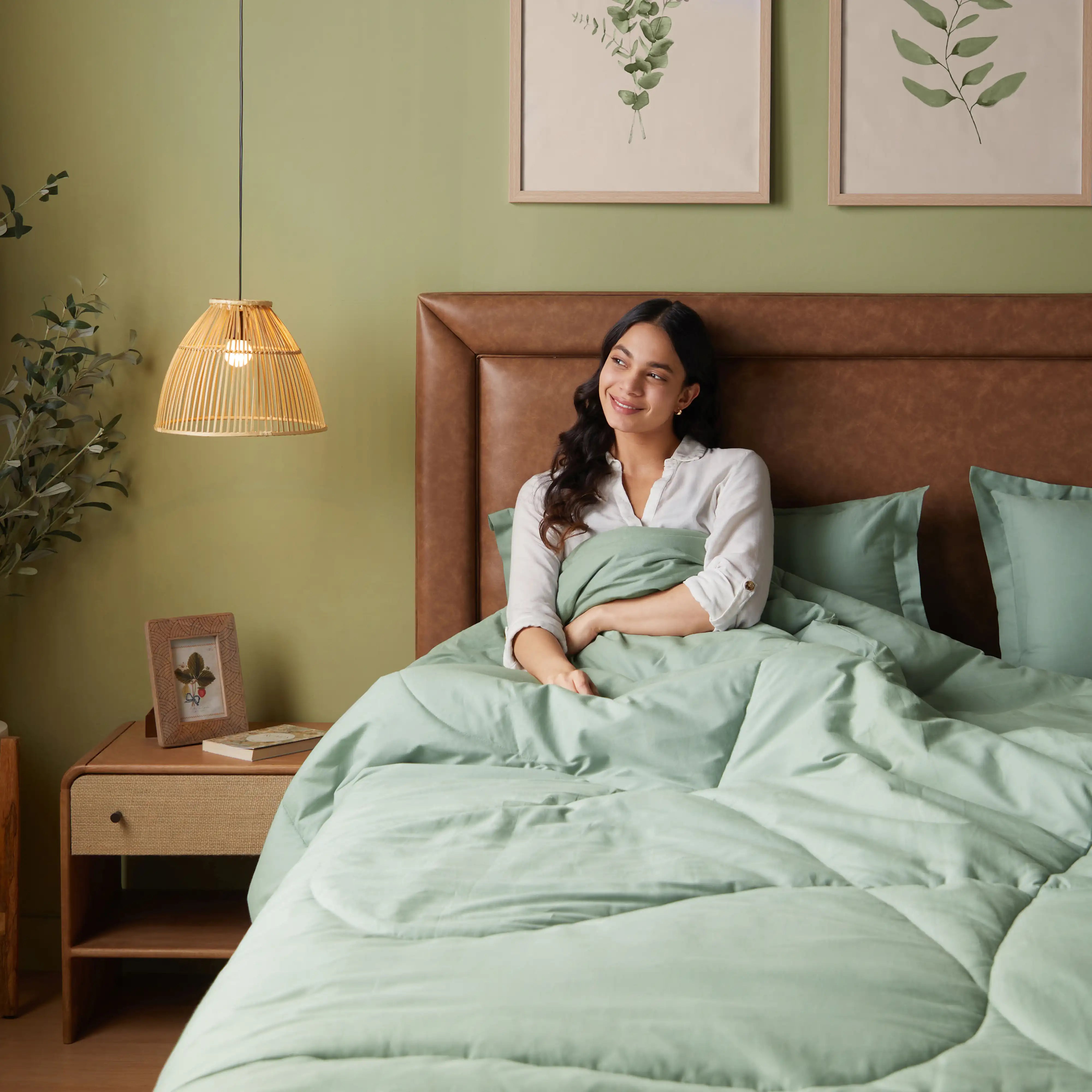 Paleto | Everyday Hues Cotton Solid Dyed 120GSM Comforter-Green Sage Green Sage / Single