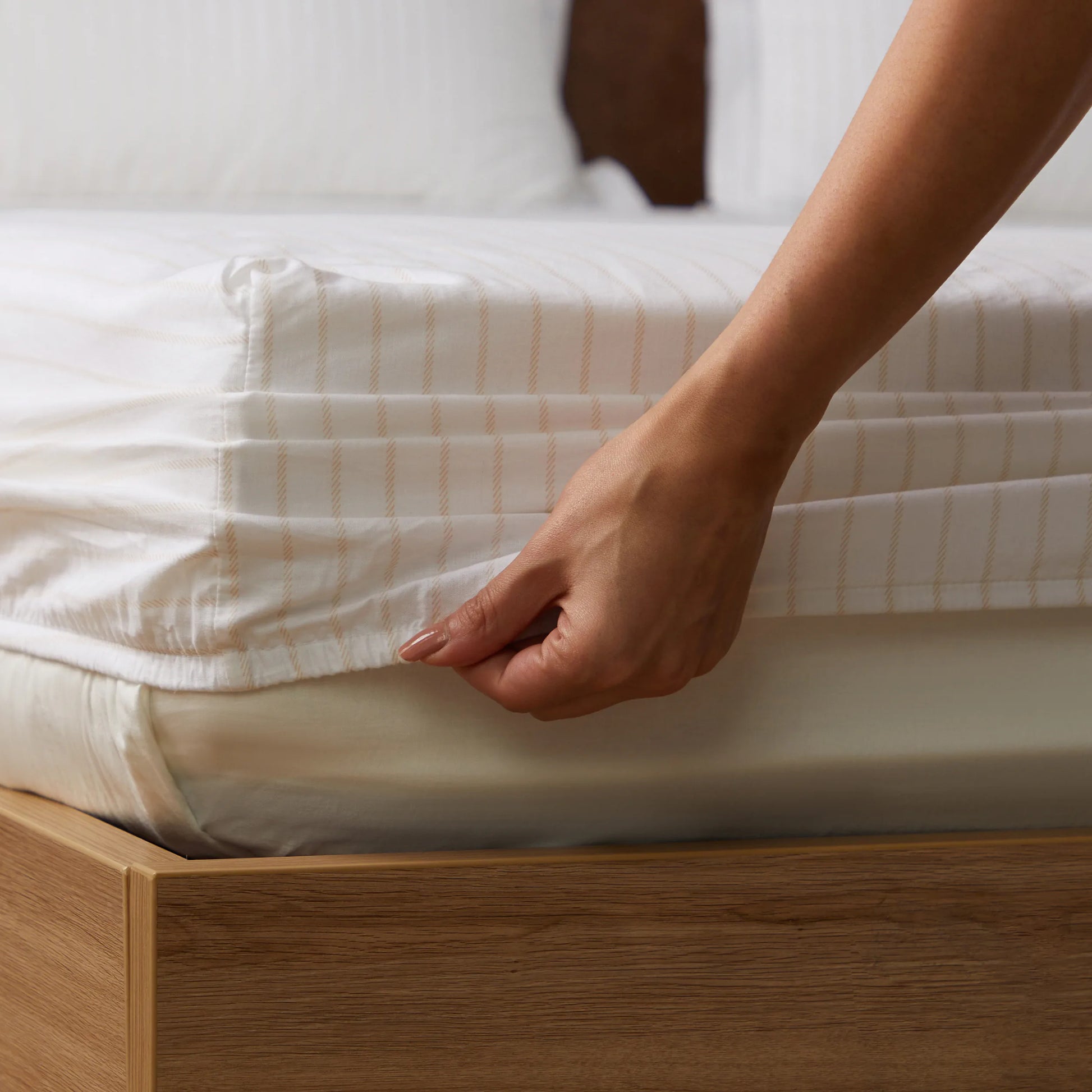 Bloomshire Classic | Everyday Charm Printed Cotton Fitted Sheet Set-Beige Beige / King