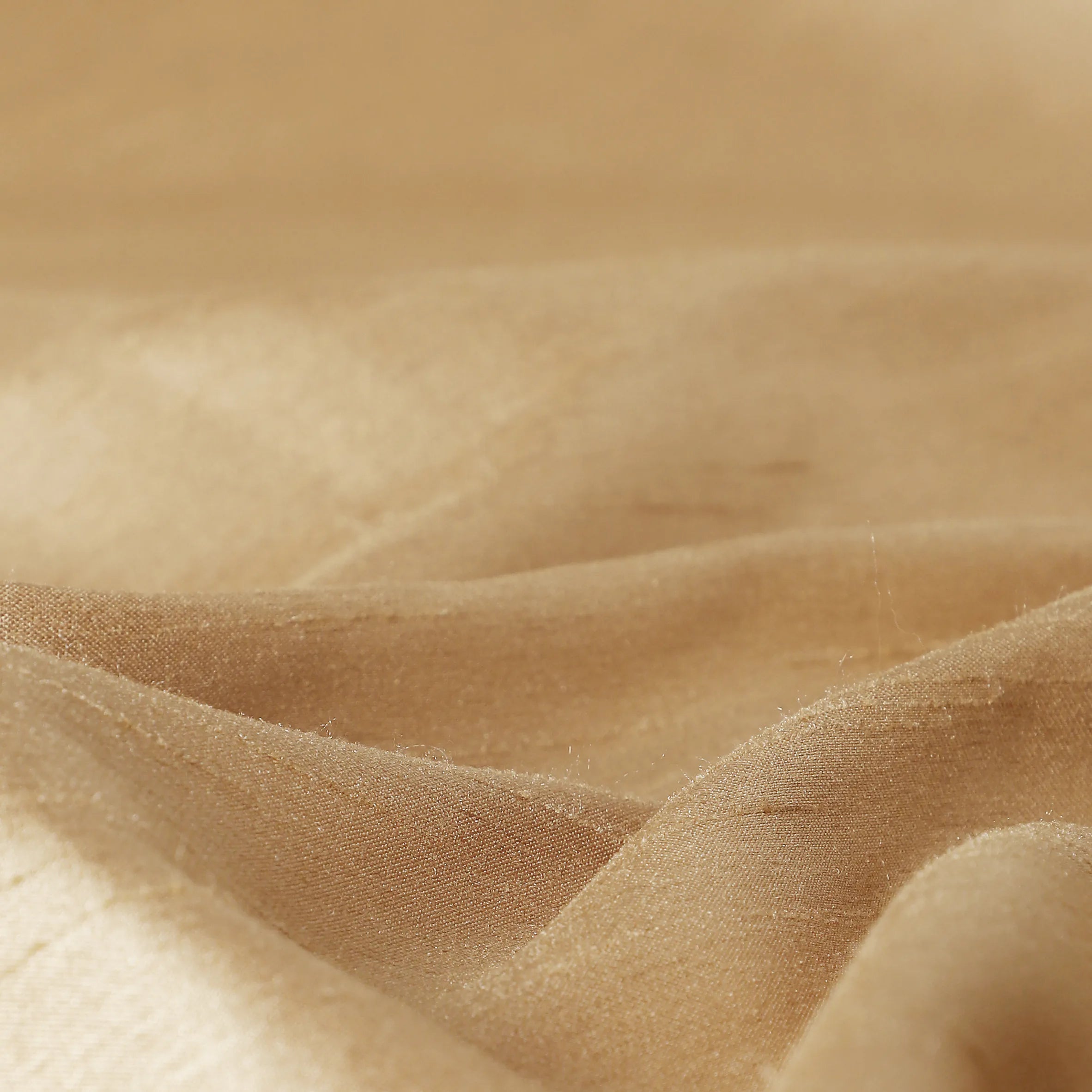 Paleto Set Of 2 Solid Readymade Curtains | Pure Hues Wheat Husk / Door (4.25ft X 7.22ft)