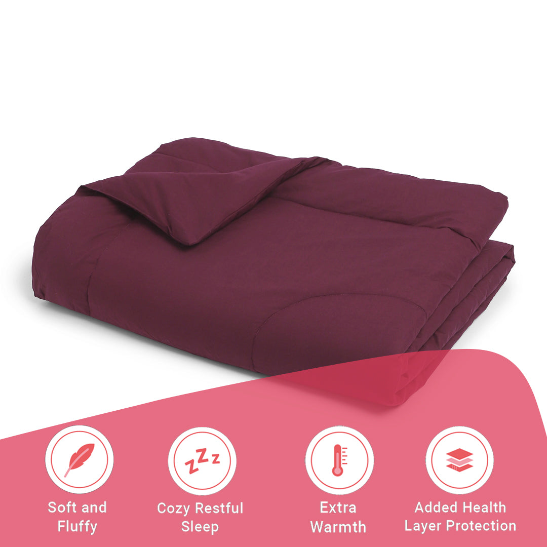Paleto | Everyday Hues Cotton Solid Dyed 240GSM Comforter for Extra Warmth-Windsor Wine