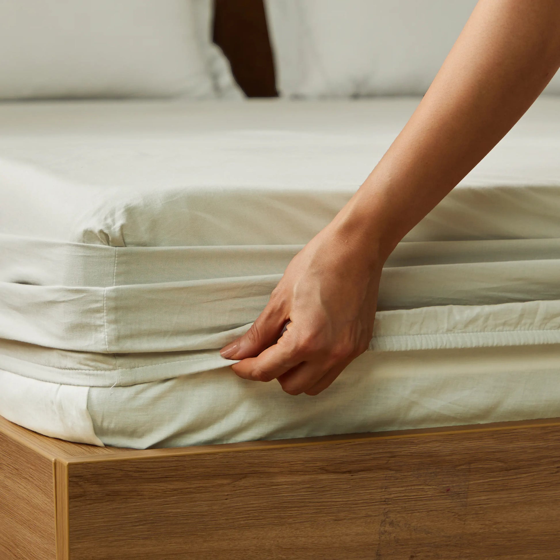 Paleto | Everyday Hues Solid Dyed Cotton Fitted Sheet Set-Silver Silver / Queen
