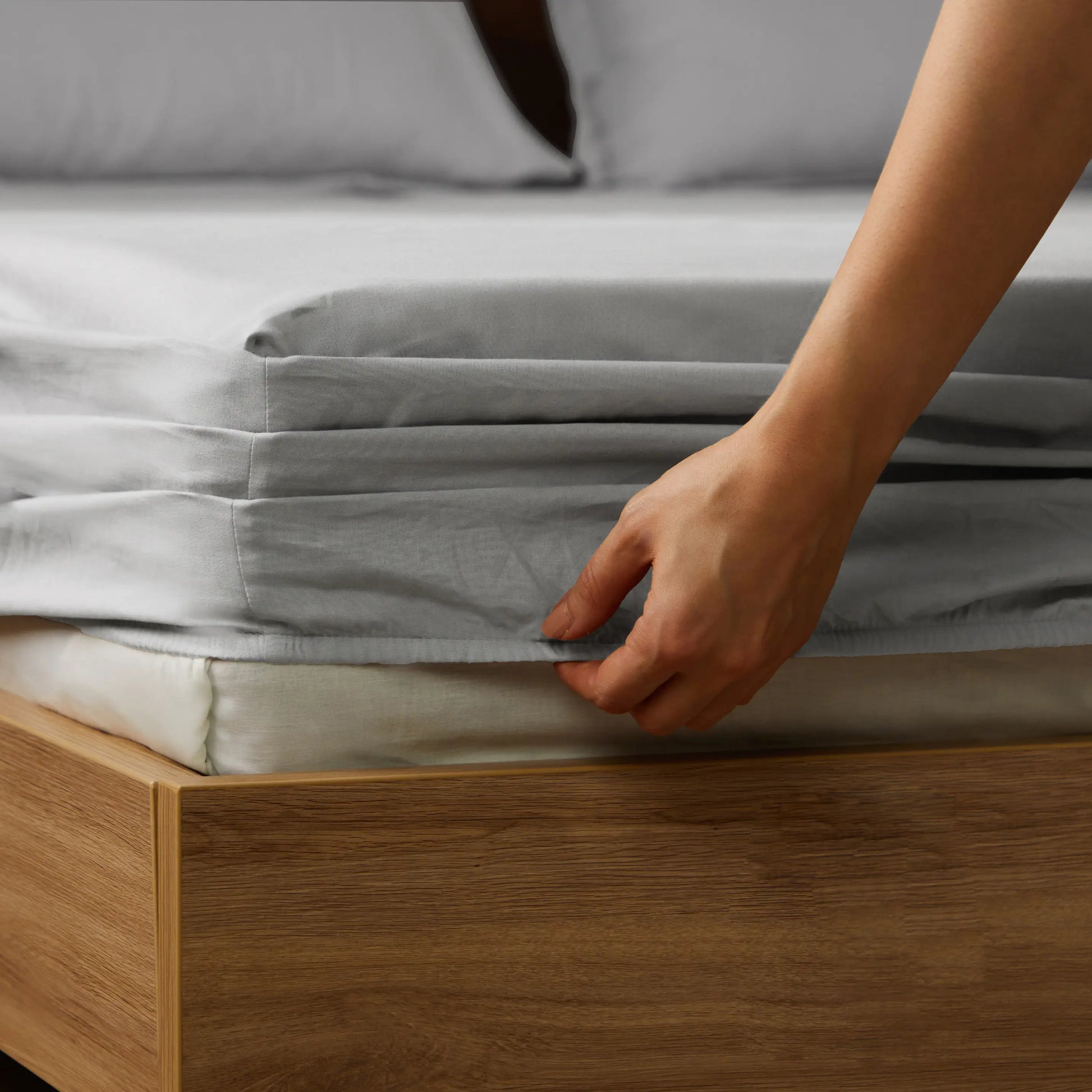 Paleto | Everyday Hues Solid Dyed Cotton Fitted Sheet Set-Grey Grey / Queen