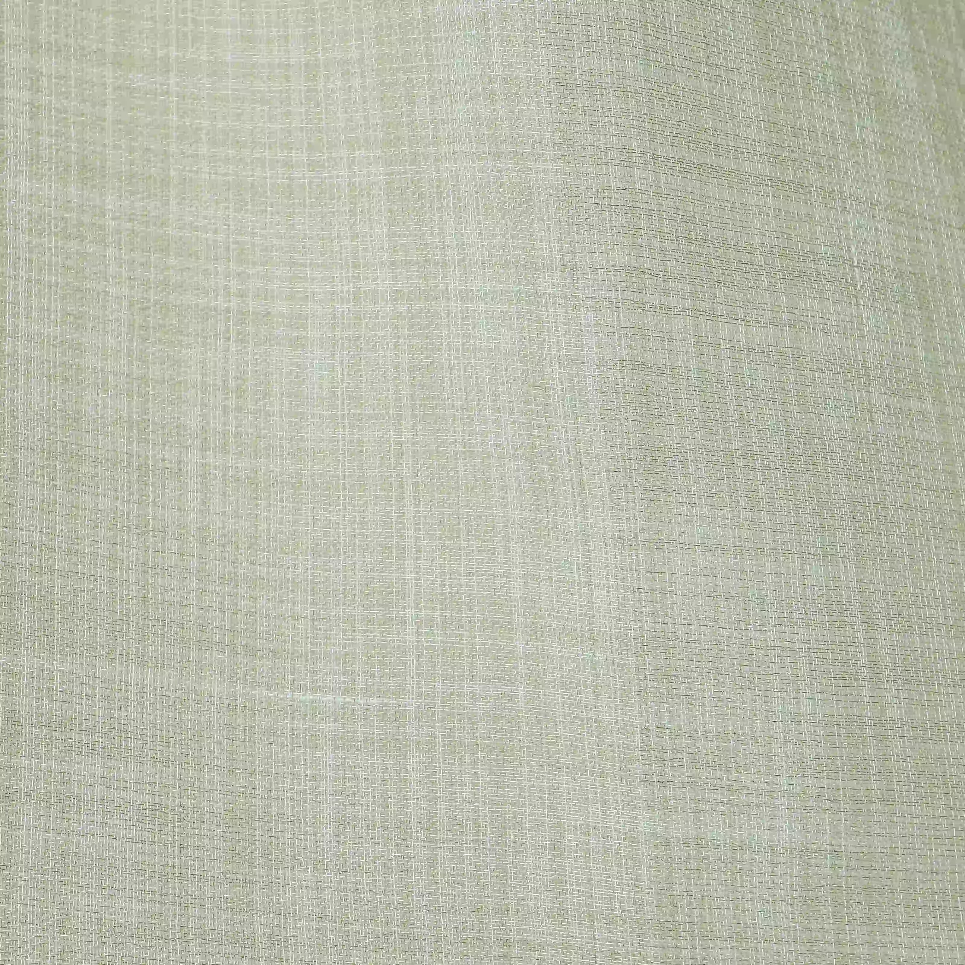 Velina Set Of 2 Sheer Readymade Curtains | 
Earthbound Seagrass / Door-XL (9ft X 4.4ft)