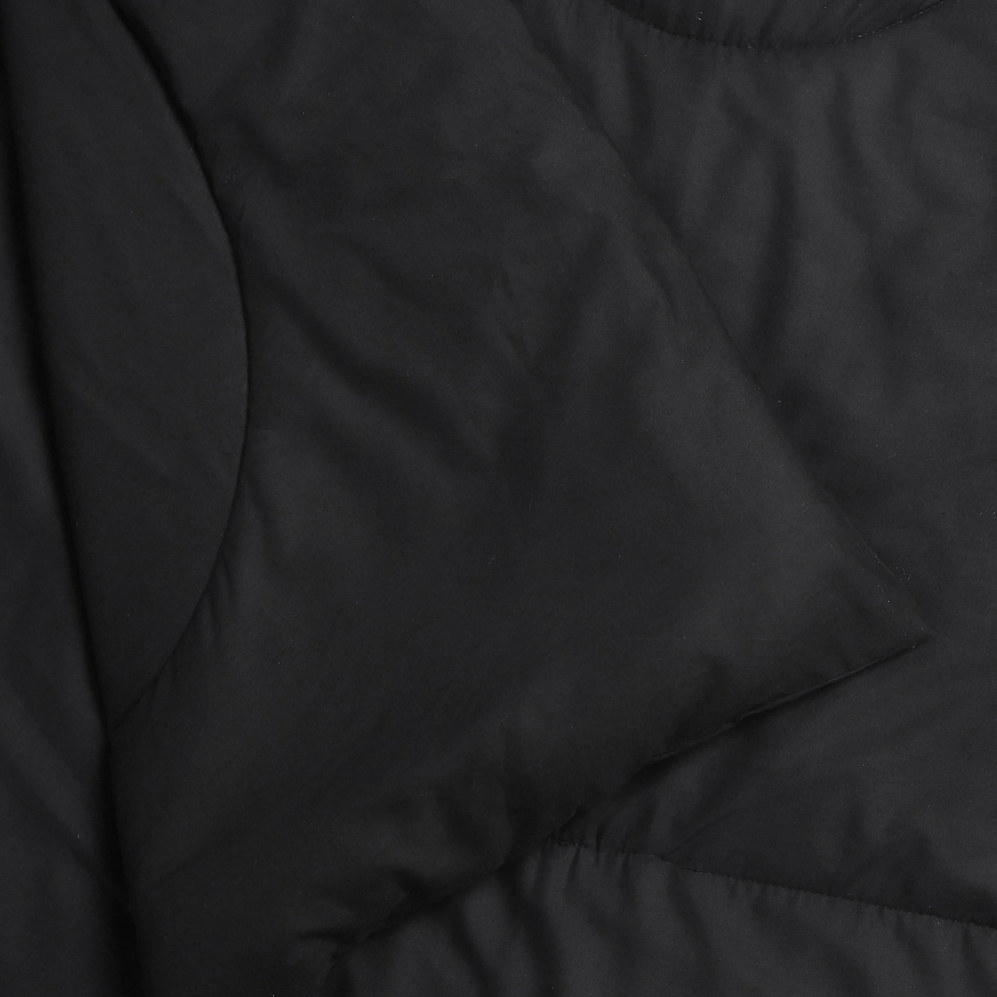 Paleto | Everyday Hues Cotton Solid Dyed 120GSM Comforter-Black Black / Double