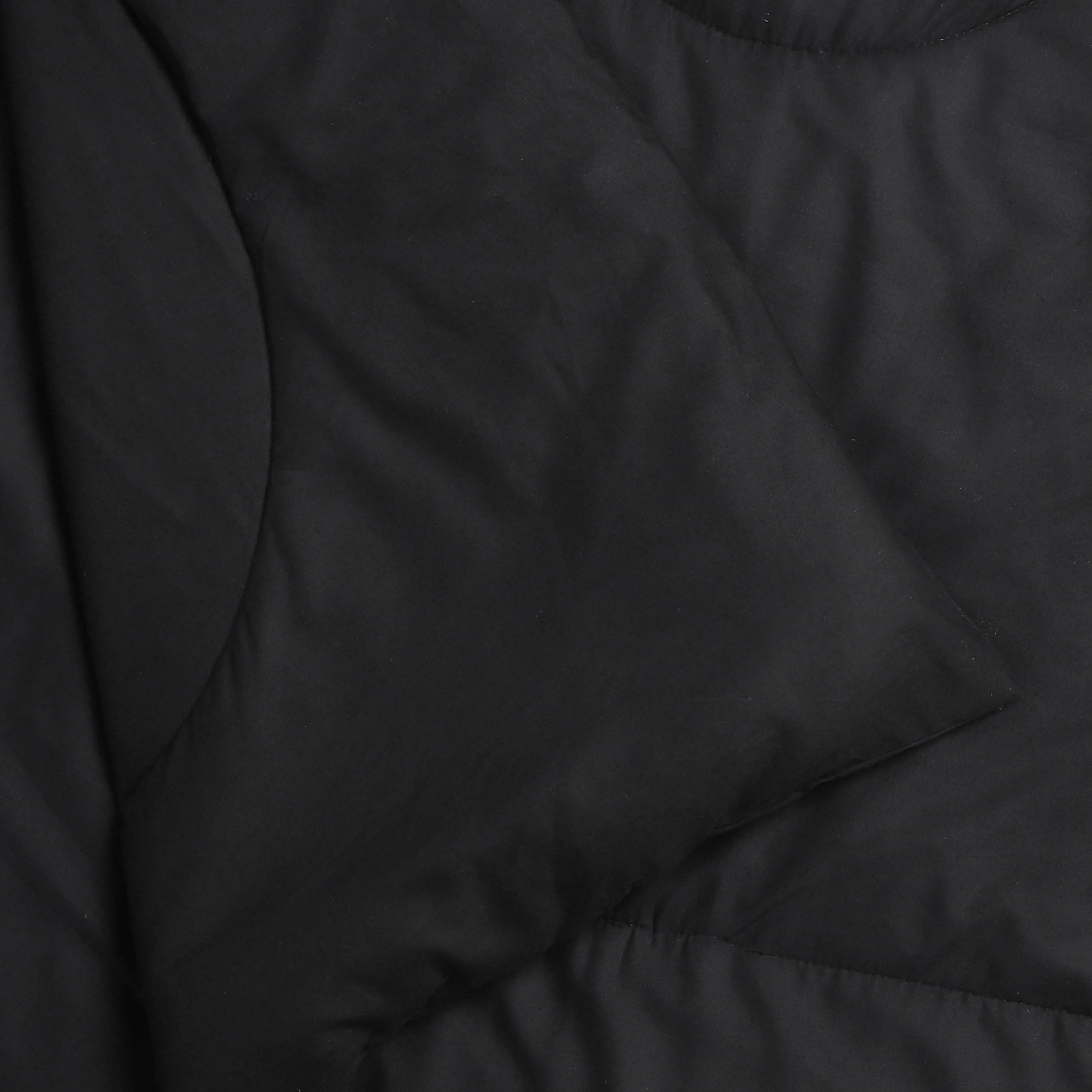 Paleto | Everyday Hues Cotton Solid Dyed 120GSM Comforter-Black Black / Double