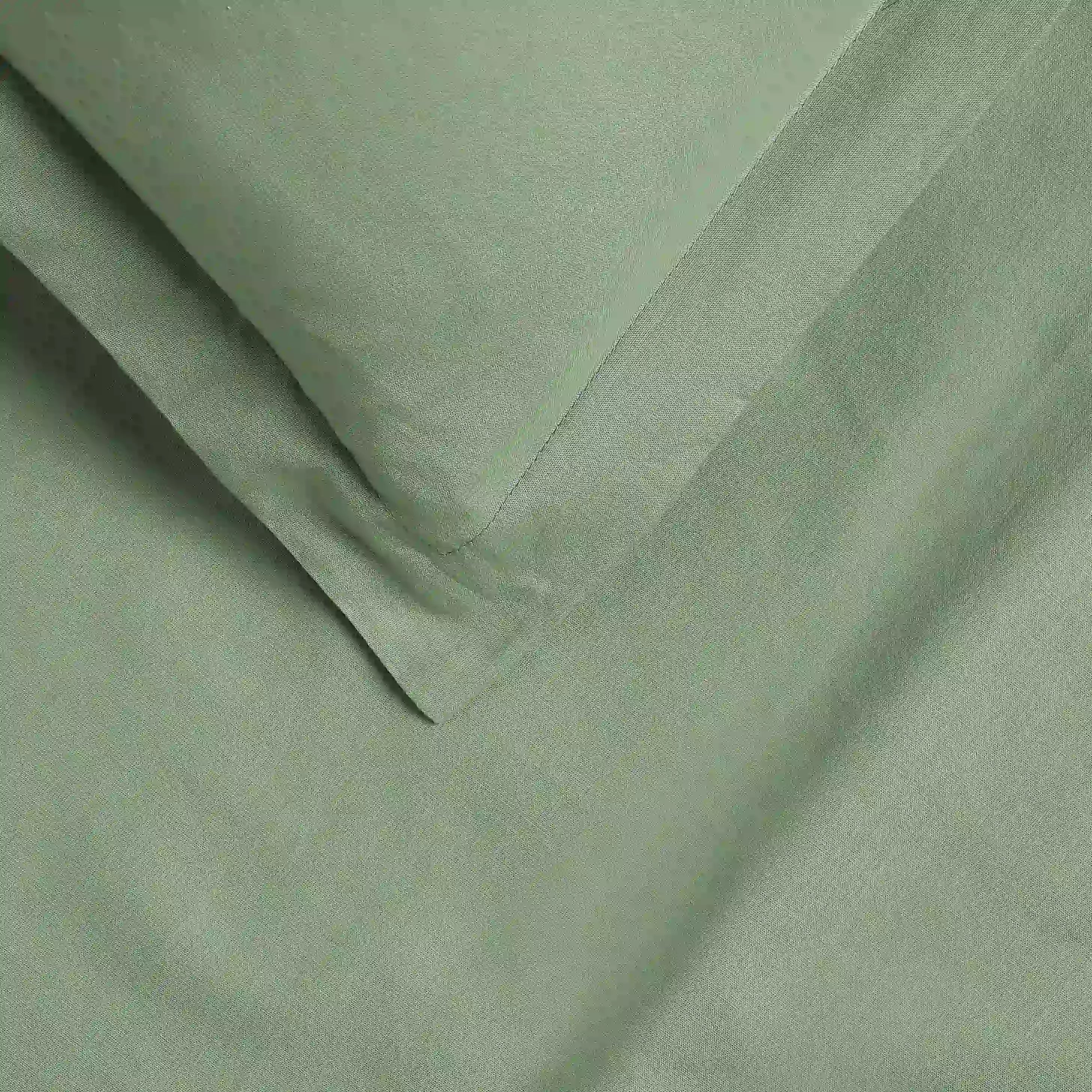 Paleto | Everyday Hues Solid Dyed Cotton Bedsheet Set-Green Sage Green Sage / Single