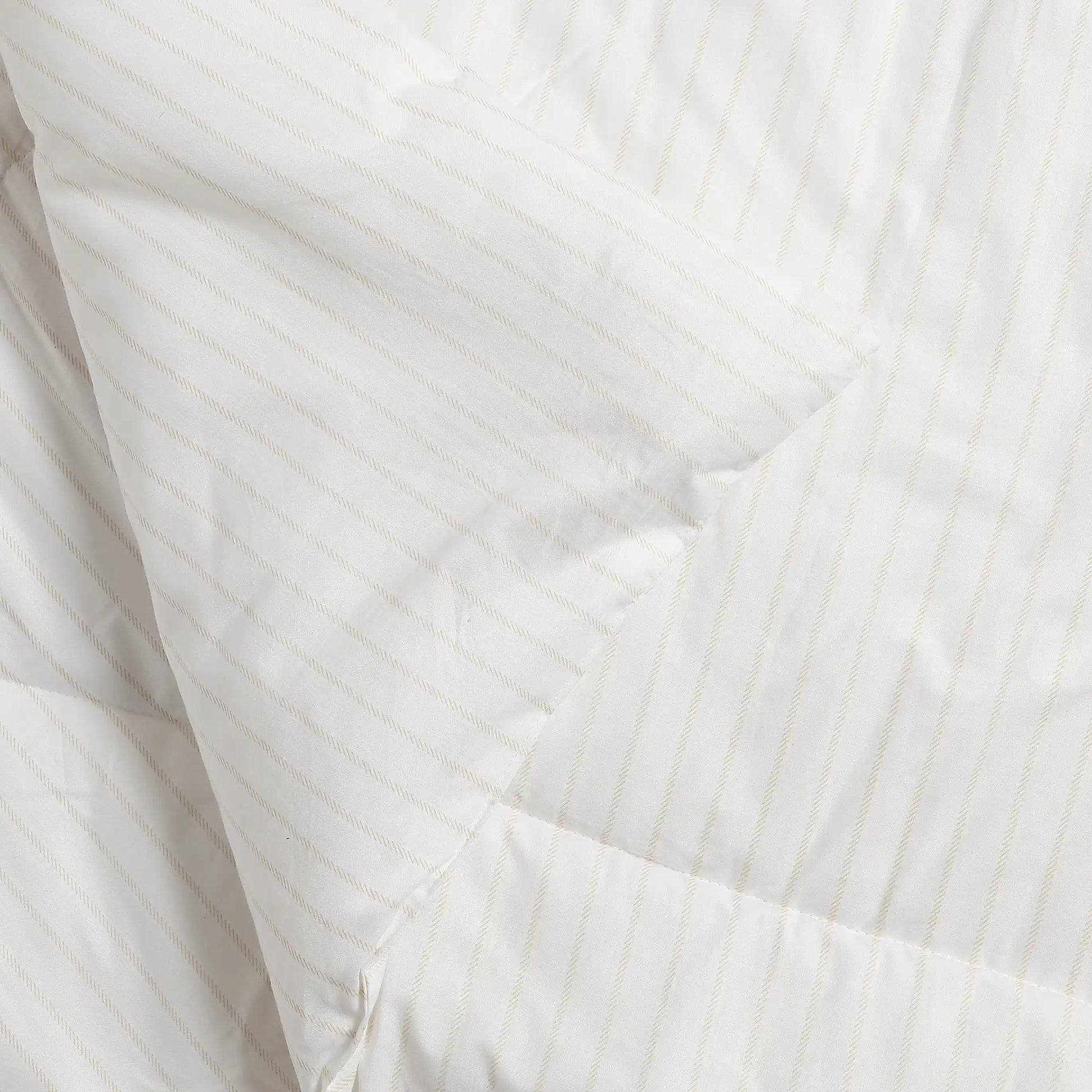 Bloomshire Classic | Everyday Charm Printed 240GSM Reversible Comforter for Extra Warmth-Beige Beige / Double