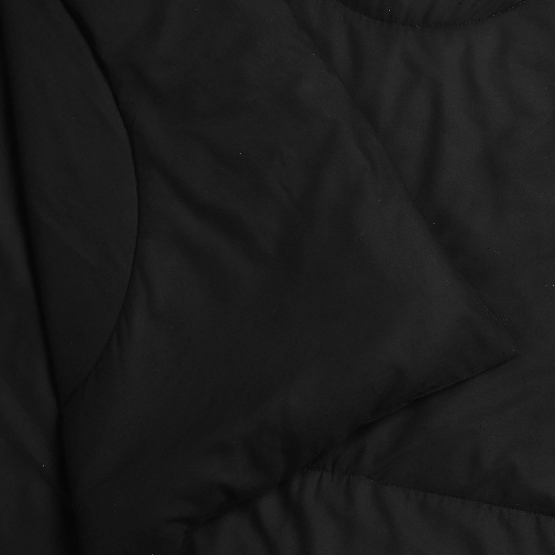 Paleto | Everyday Hues Cotton Solid Dyed 120GSM Comforter-Black Black / Single
