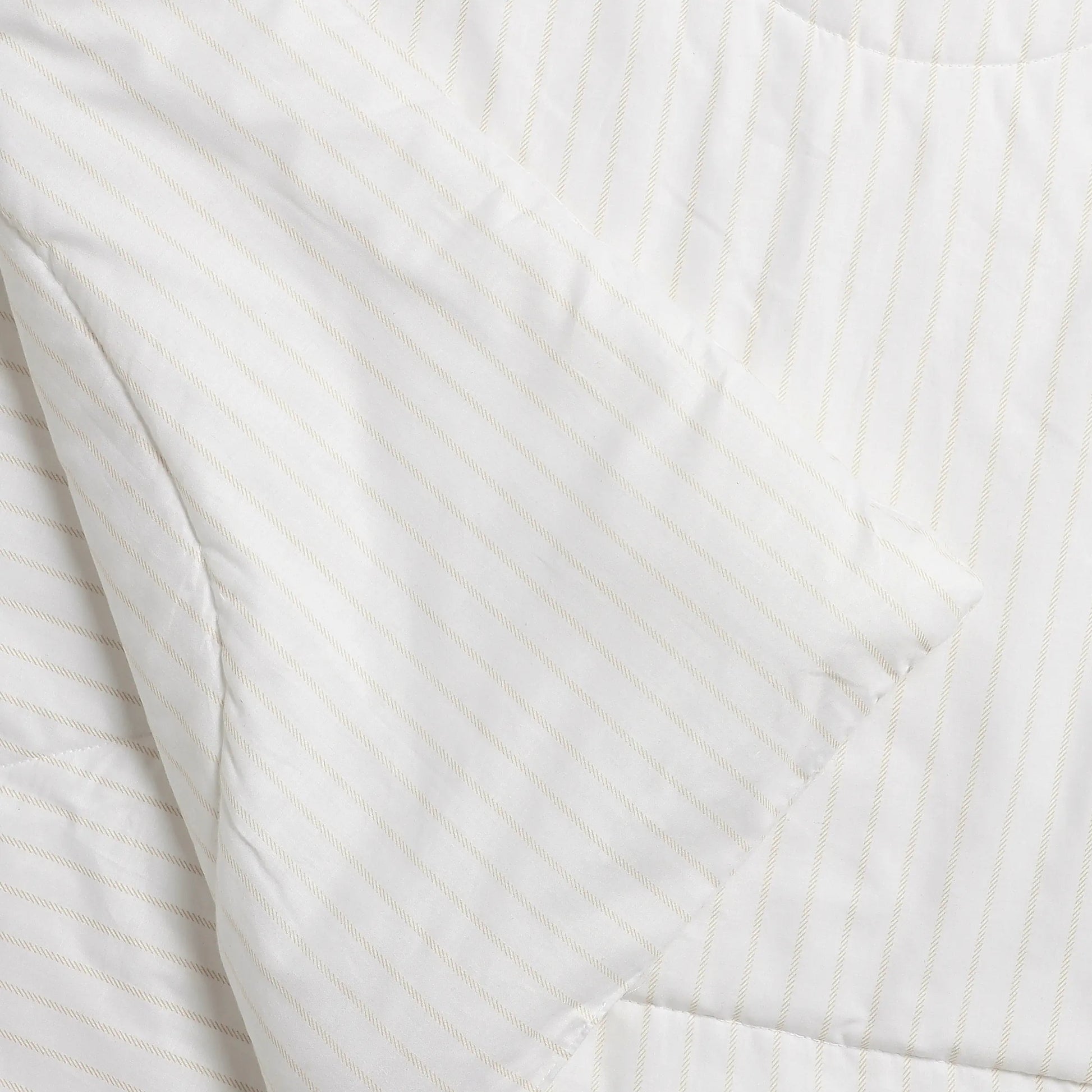Bloomshire Classic | Everyday Charm Printed 120GSM Reversible Comforter-Beige Beige / Double