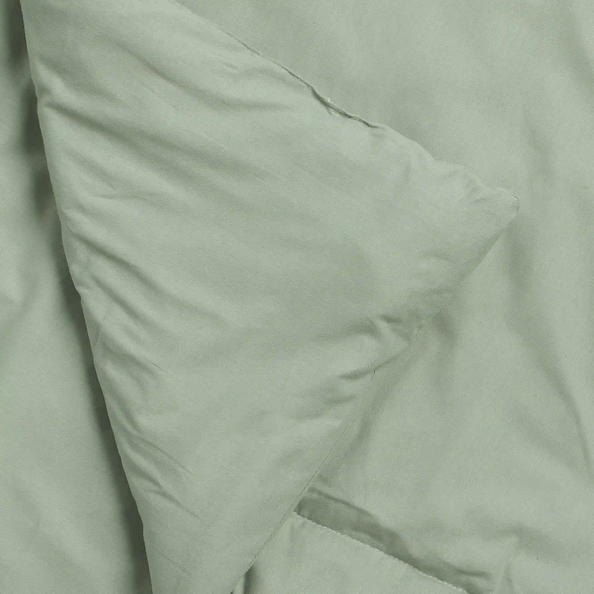 Paleto | Everyday Hues Cotton Solid Dyed 120GSM Comforter-Green Sage Green Sage / Double