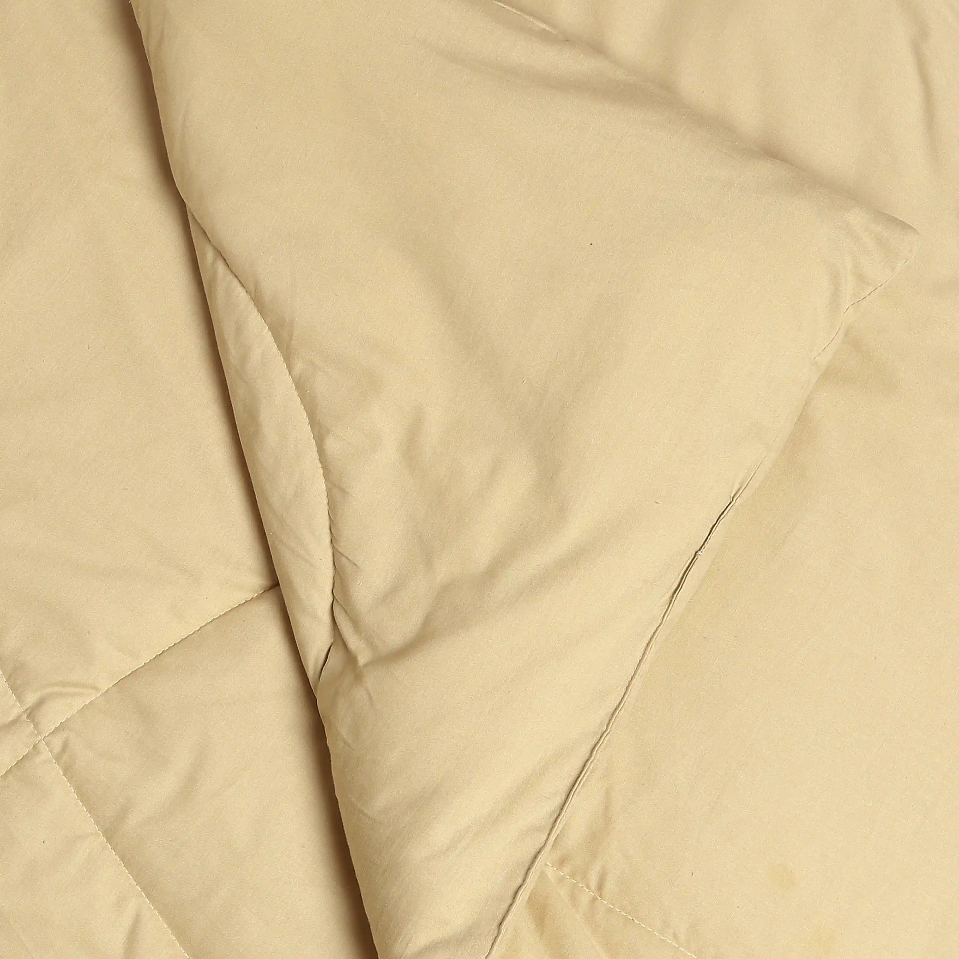 Paleto | Everyday Hues Cotton Solid Dyed 120GSM Comforter-Beige Beige / Double