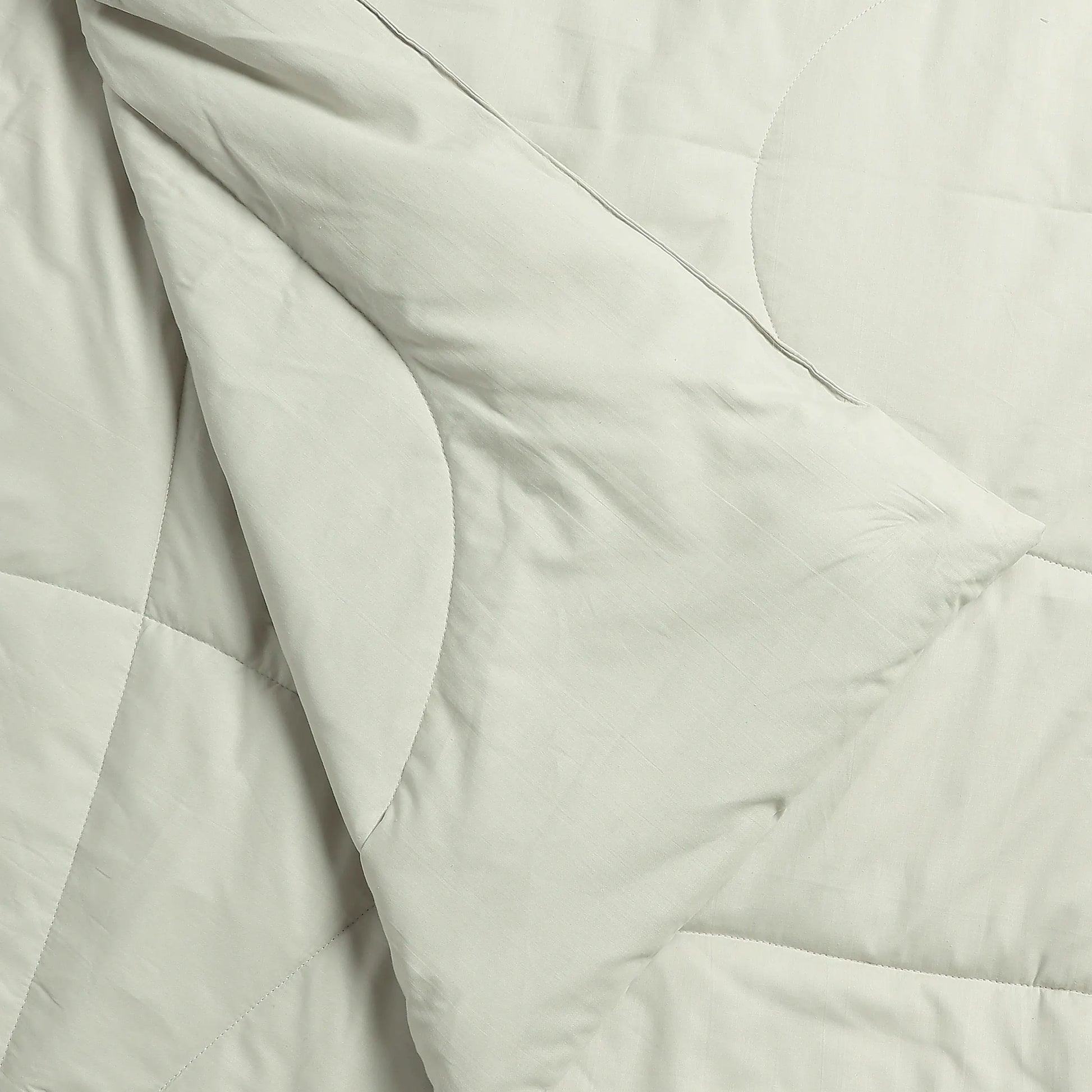Paleto | Everyday Hues Cotton Solid Dyed 120GSM Comforter-Silver Silver / Double
