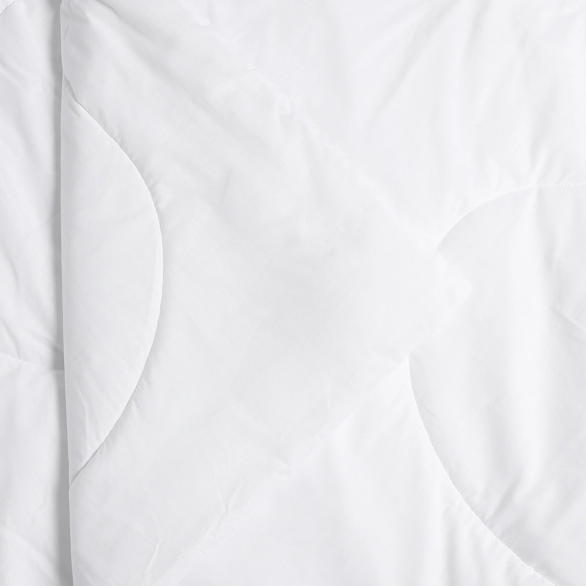 Paleto | Everyday Hues Cotton Solid Dyed 120GSM Comforter-White White / Double
