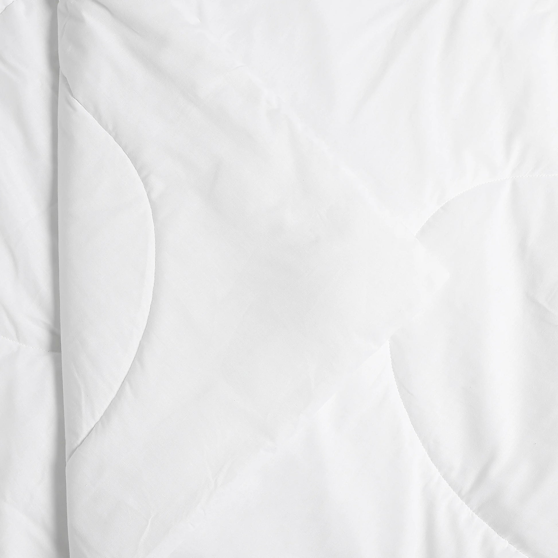 Paleto | Everyday Hues Cotton Solid Dyed 120GSM Comforter-White White / Single