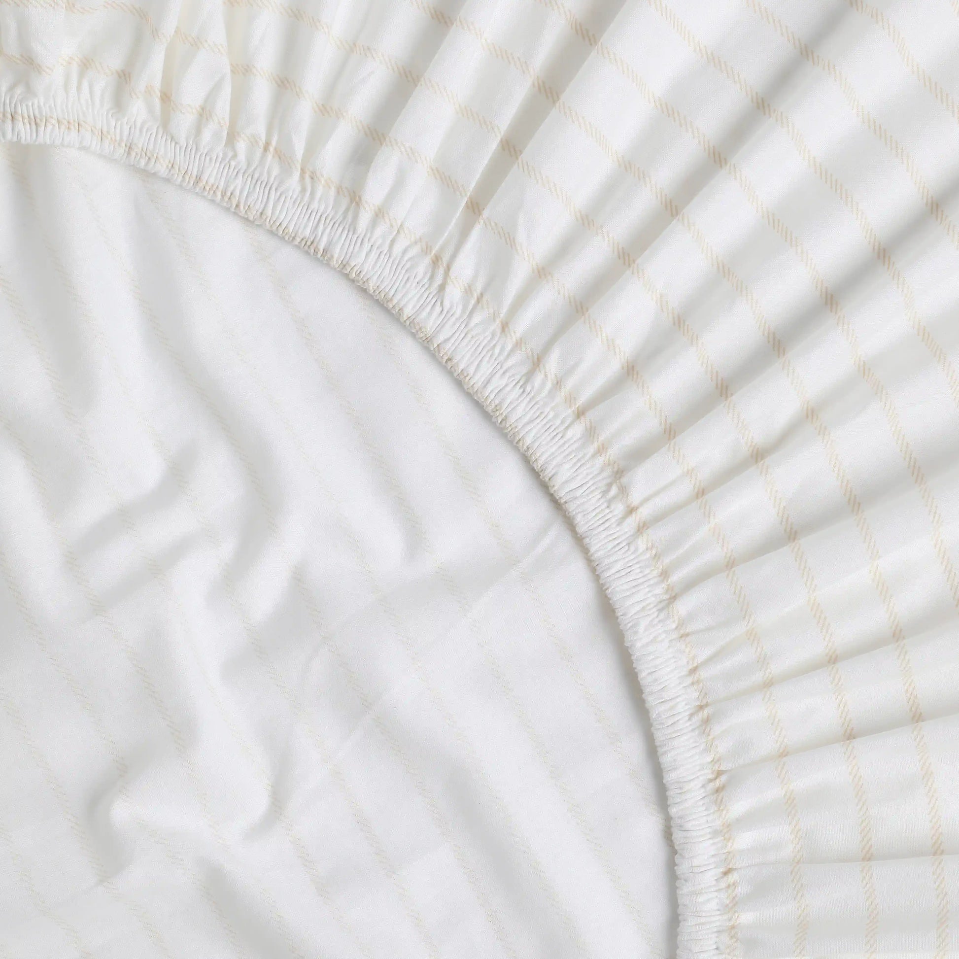 Bloomshire Classic | Everyday Charm Printed Cotton Fitted Sheet Set-Beige Beige / King