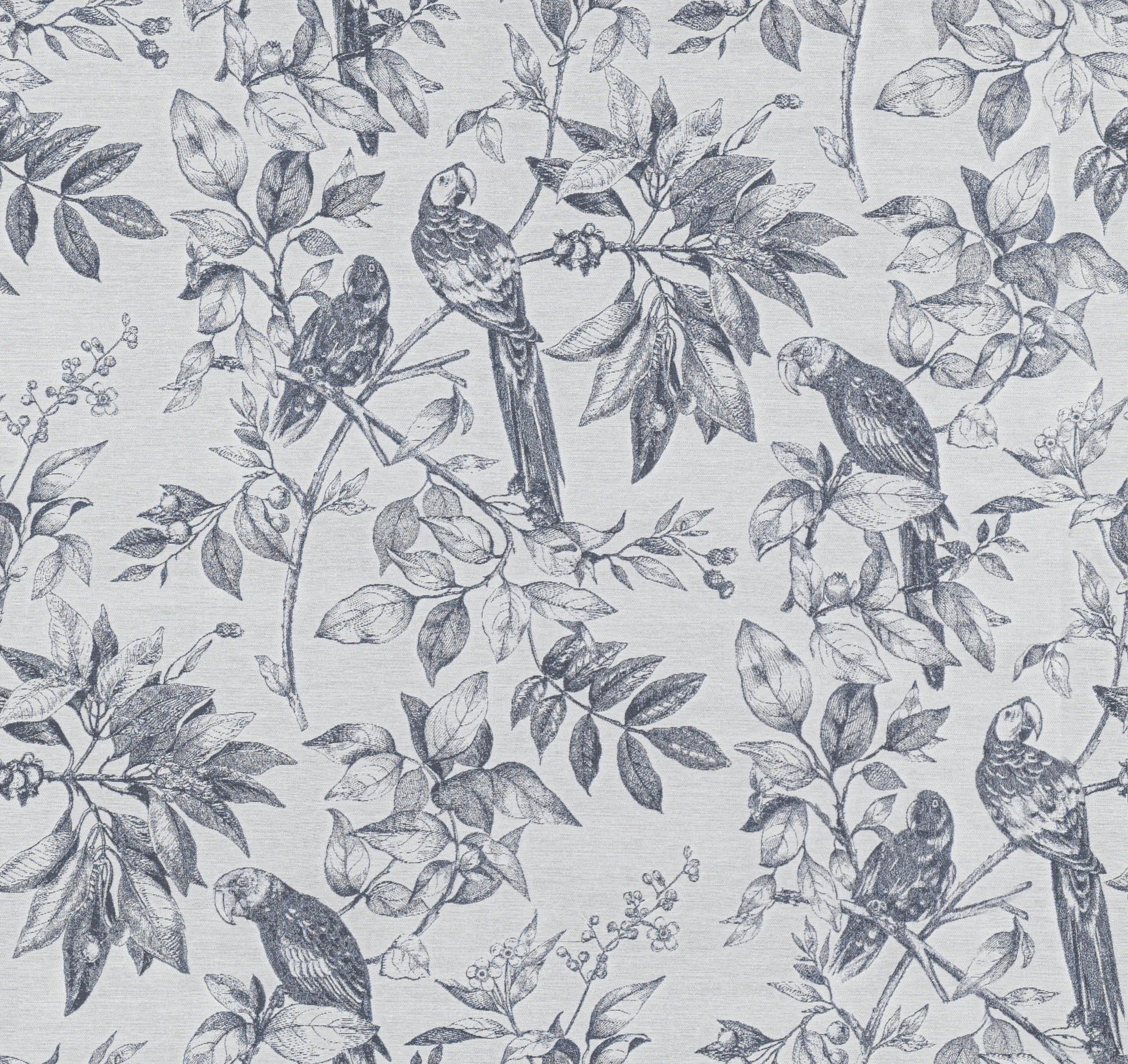 Cosmic Charm Edition 1 - Pero | Multipurpose Fabric Pero-Graphite