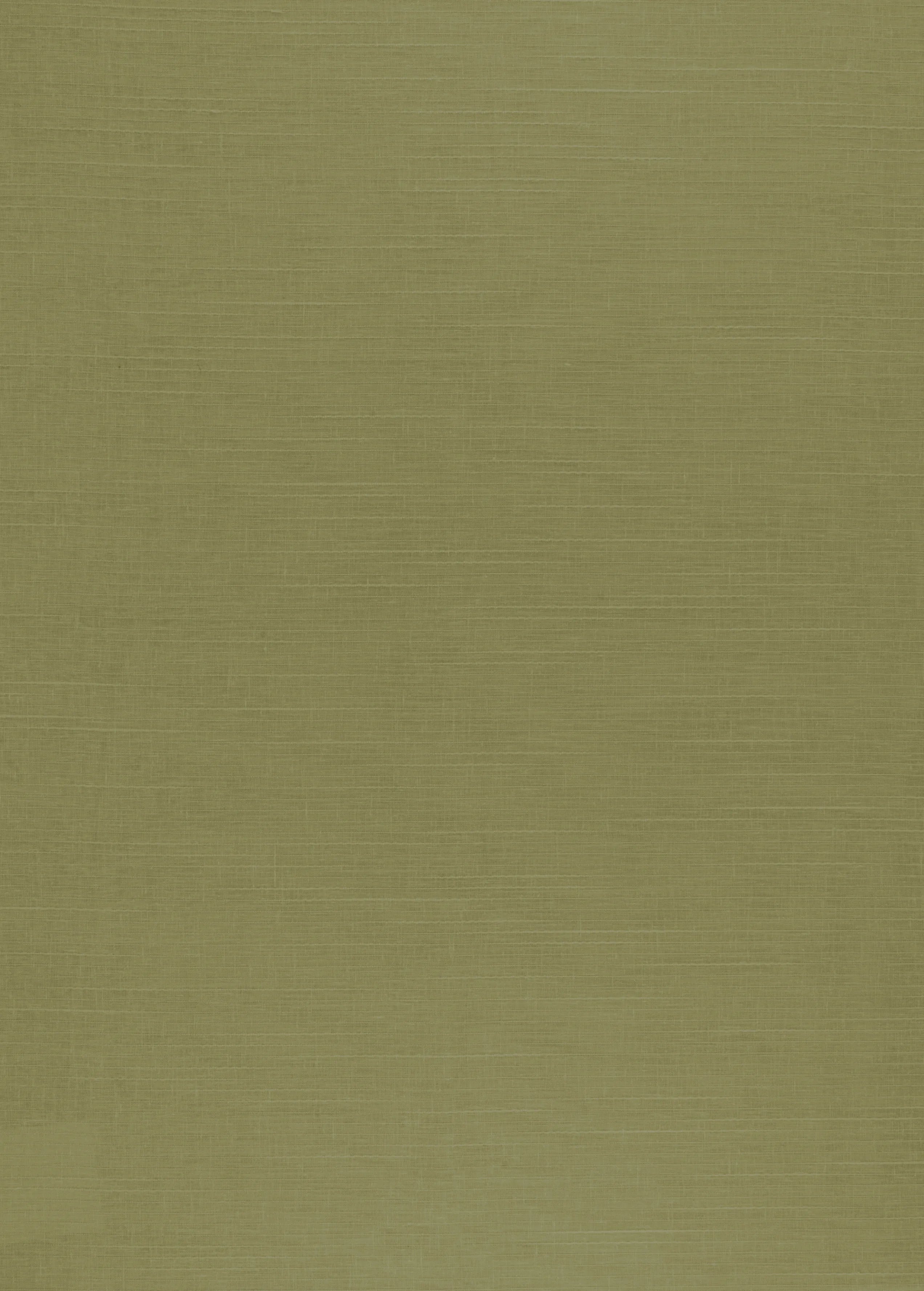 Hallmark Drapes Edition 4 - Nile | Made to Order Sheer Curtains Nile-Basil