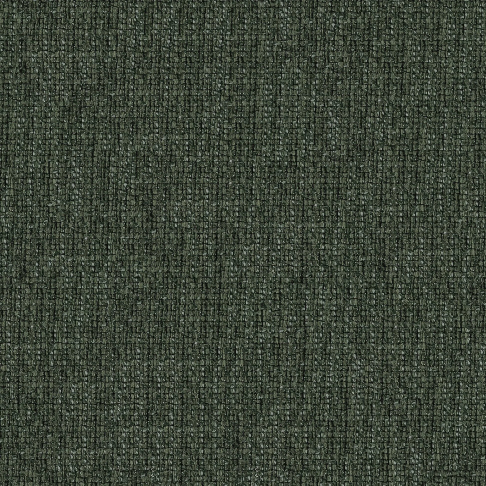 Nomad's Diary Edition 4 - Osiris | Upholstery Fabric Osiris-Forest