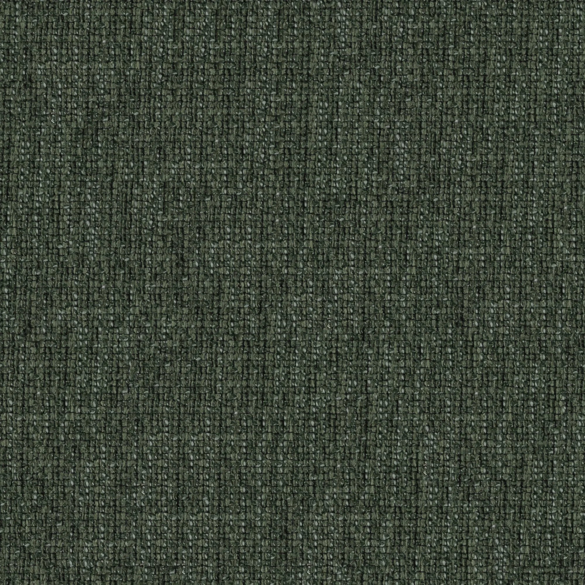 Nomad's Diary Edition 4 - Osiris | Upholstery Fabric Osiris-Forest