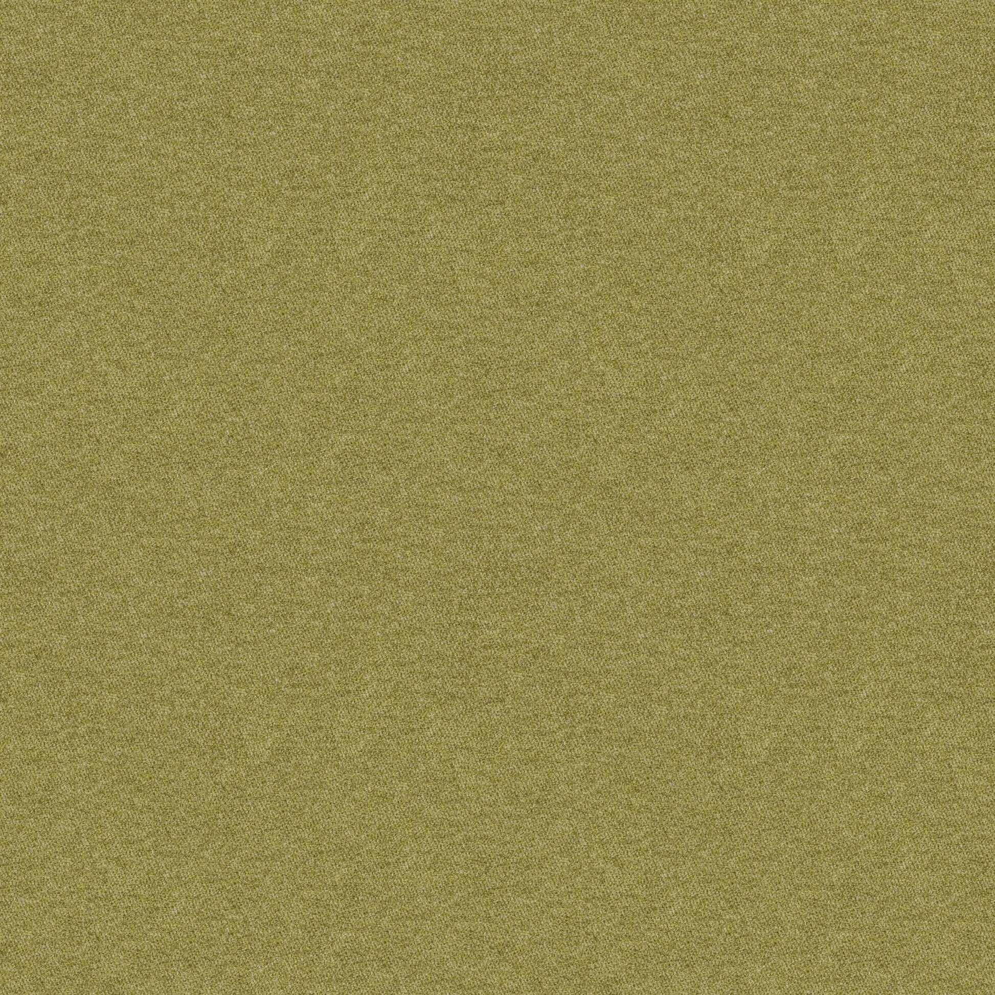 Nomad's Diary Edition 7 - Aura | Upholstery Fabric Aura-Leaf