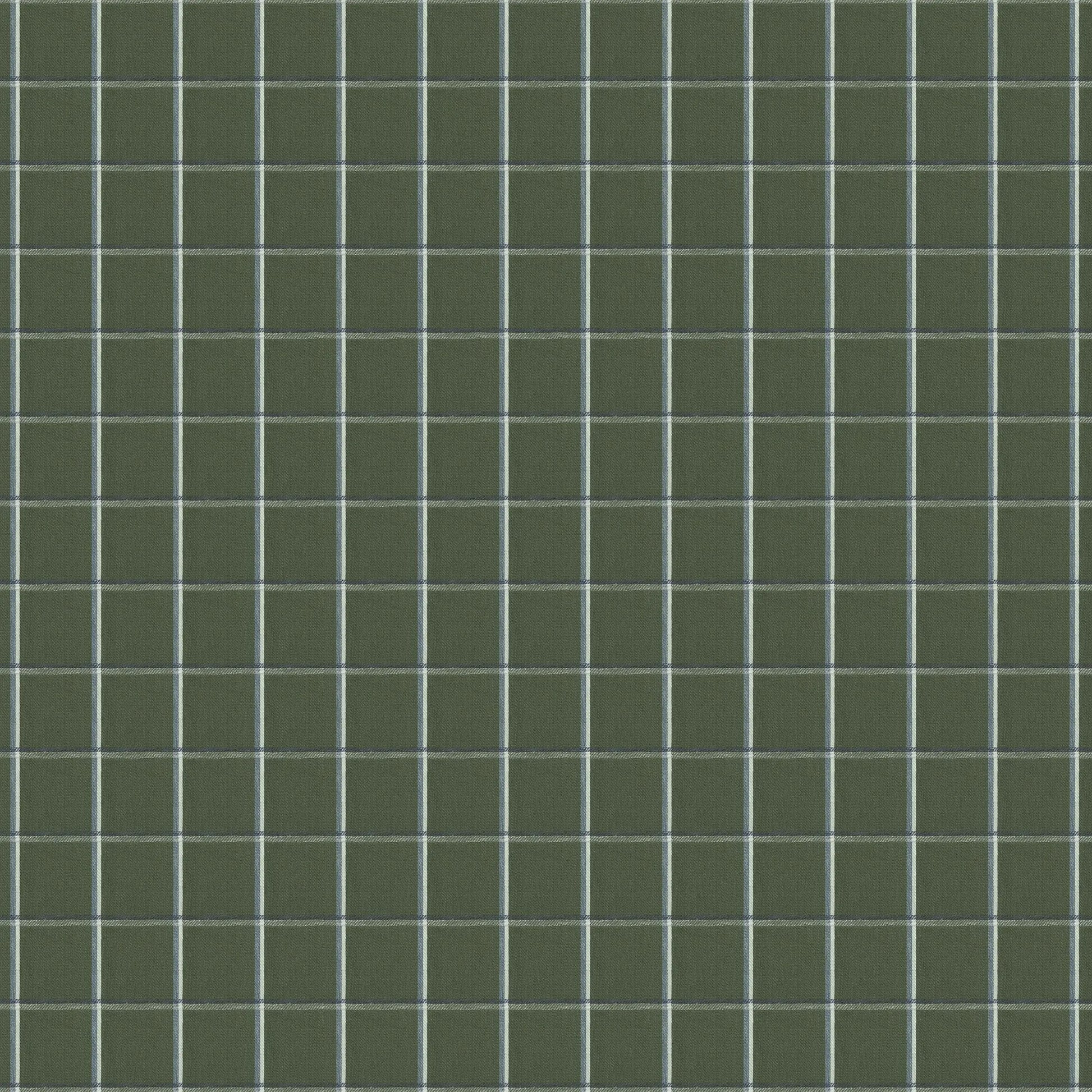 Hallmark Drapes Edition 6 - Tally | Upholstery Fabric Tally-Moss