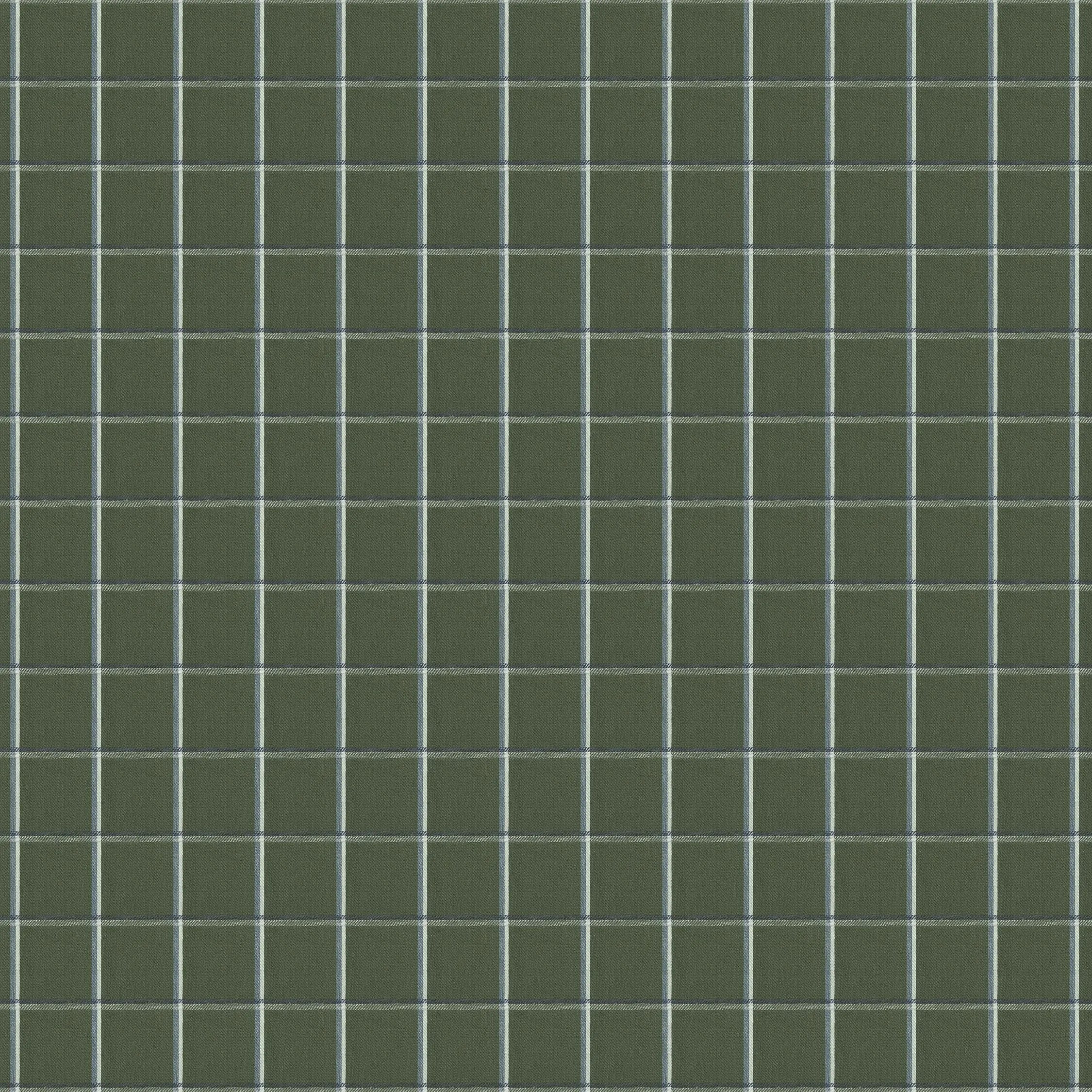 Hallmark Drapes Edition 6 - Tally | Upholstery Fabric Tally-Moss